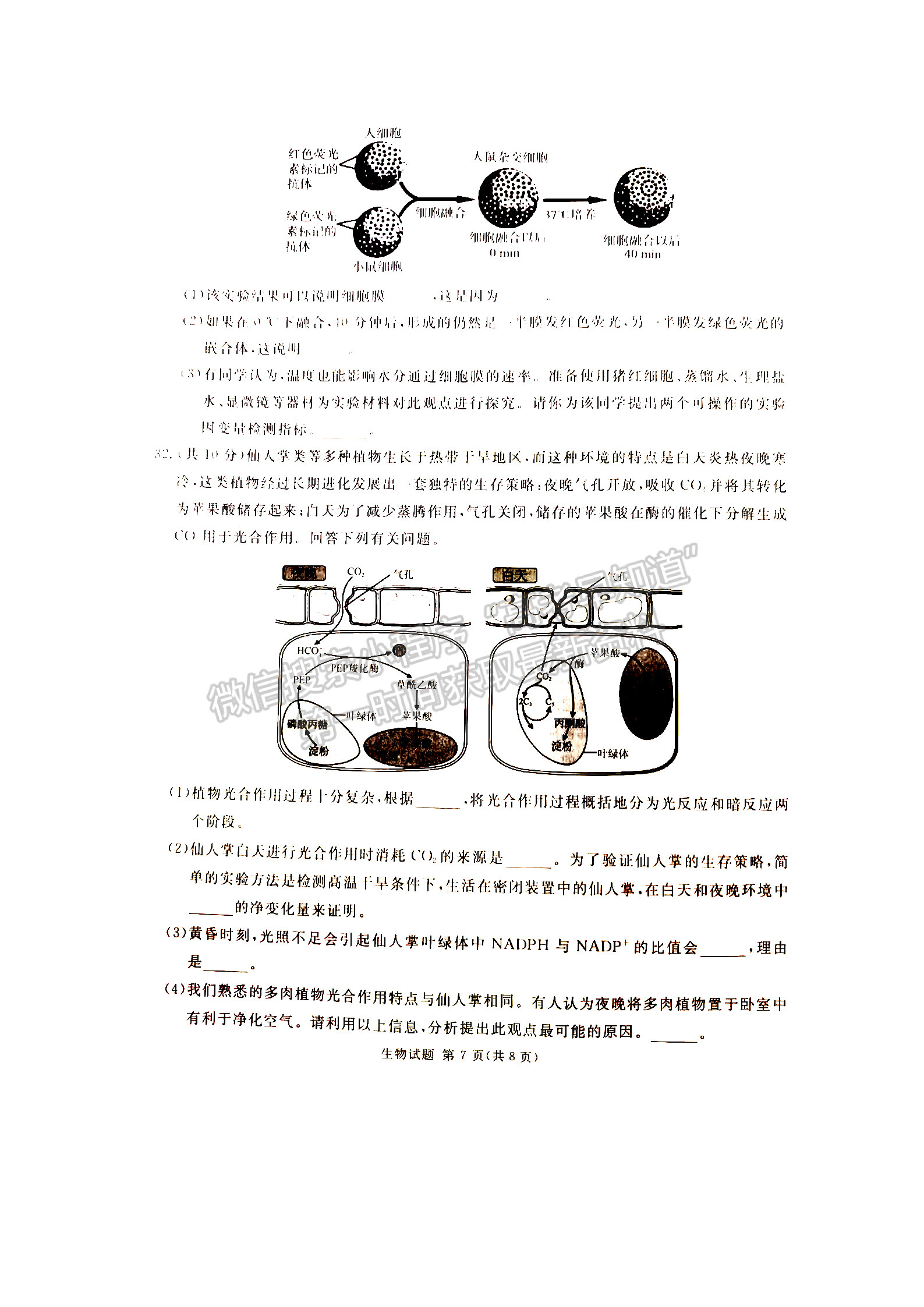 2024屆四川省雅安市高三上學期零診考試生物試卷及參考答案