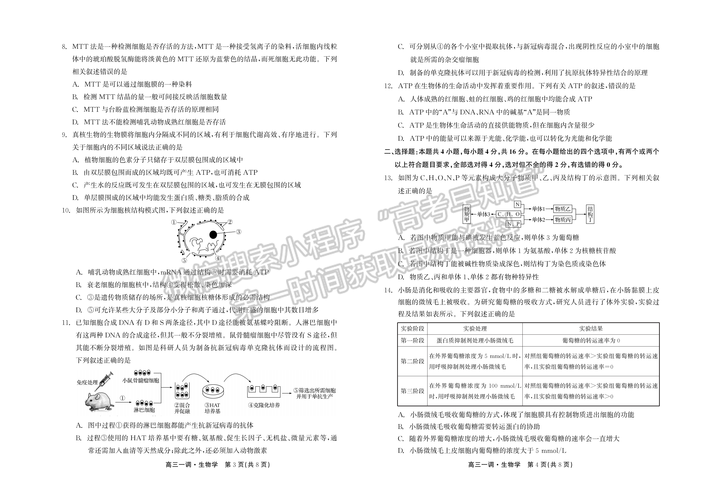 2024届河北省石家庄市部分学校高三上学期一调考试生物试题及答案