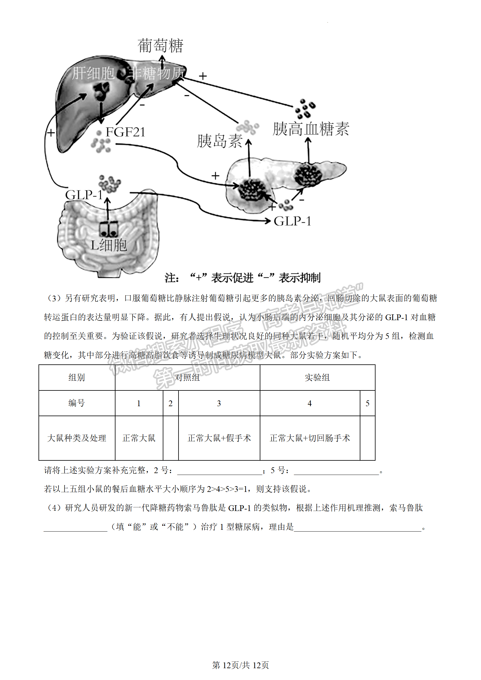 2024屆湖南省長(zhǎng)沙市長(zhǎng)郡中學(xué)高三月考（三）生物試題及答案