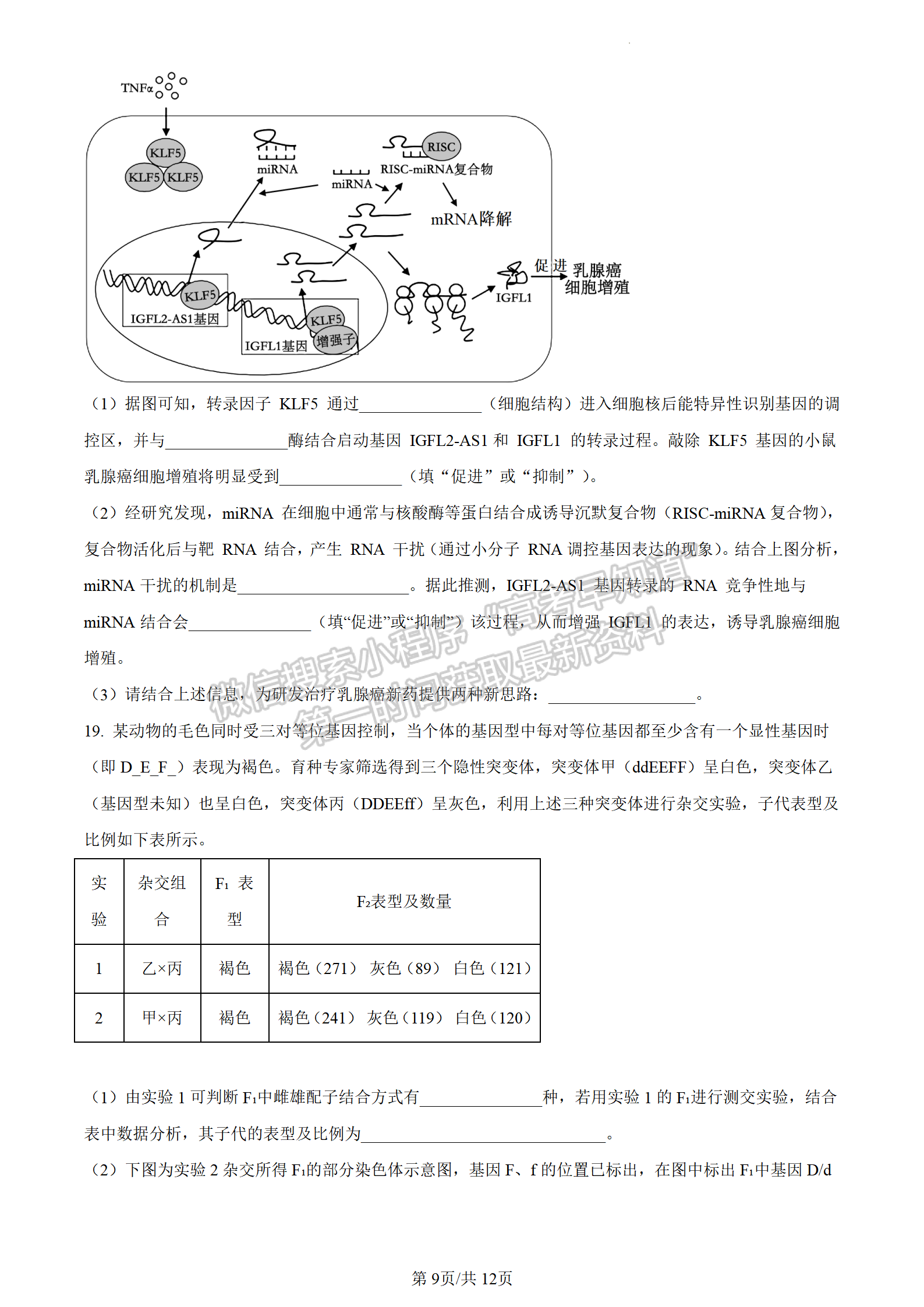 2024屆湖南省長沙市長郡中學高三月考（三）生物試題及答案