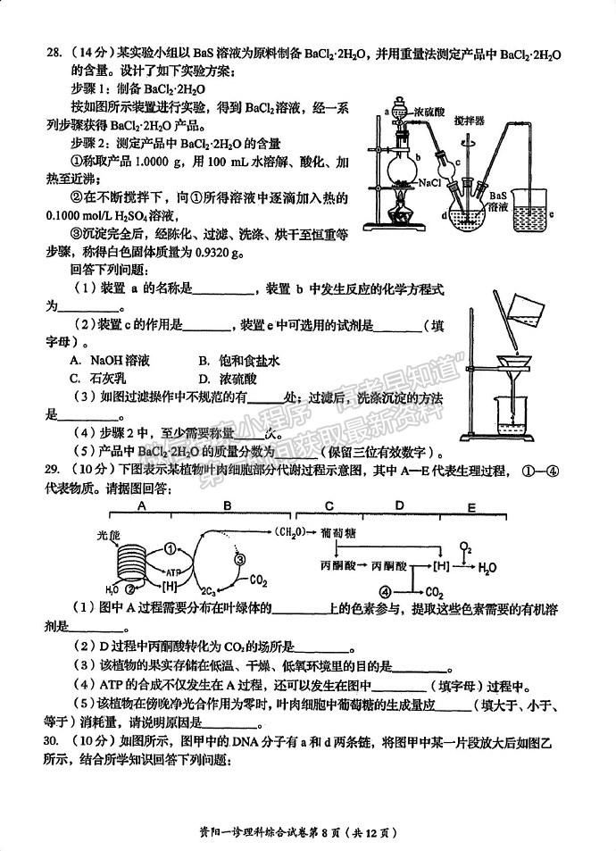 2024届四川省资阳市高中高三上学期第一次诊断性考试理综试卷及参考答案