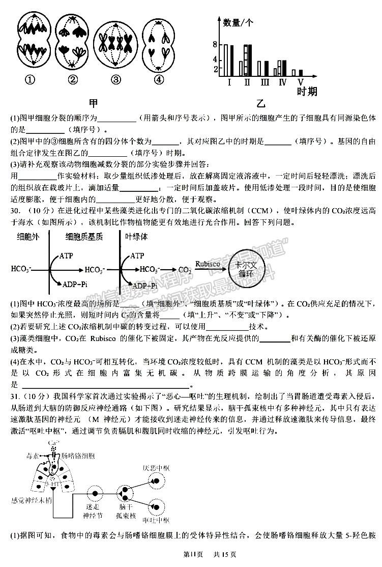 成都七中2023-2024学年度2024届高三半期考试理综试卷及参考答案