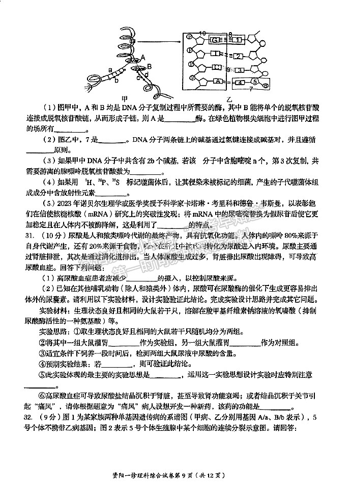 2024届四川省资阳市高中高三上学期第一次诊断性考试理综试卷及参考答案