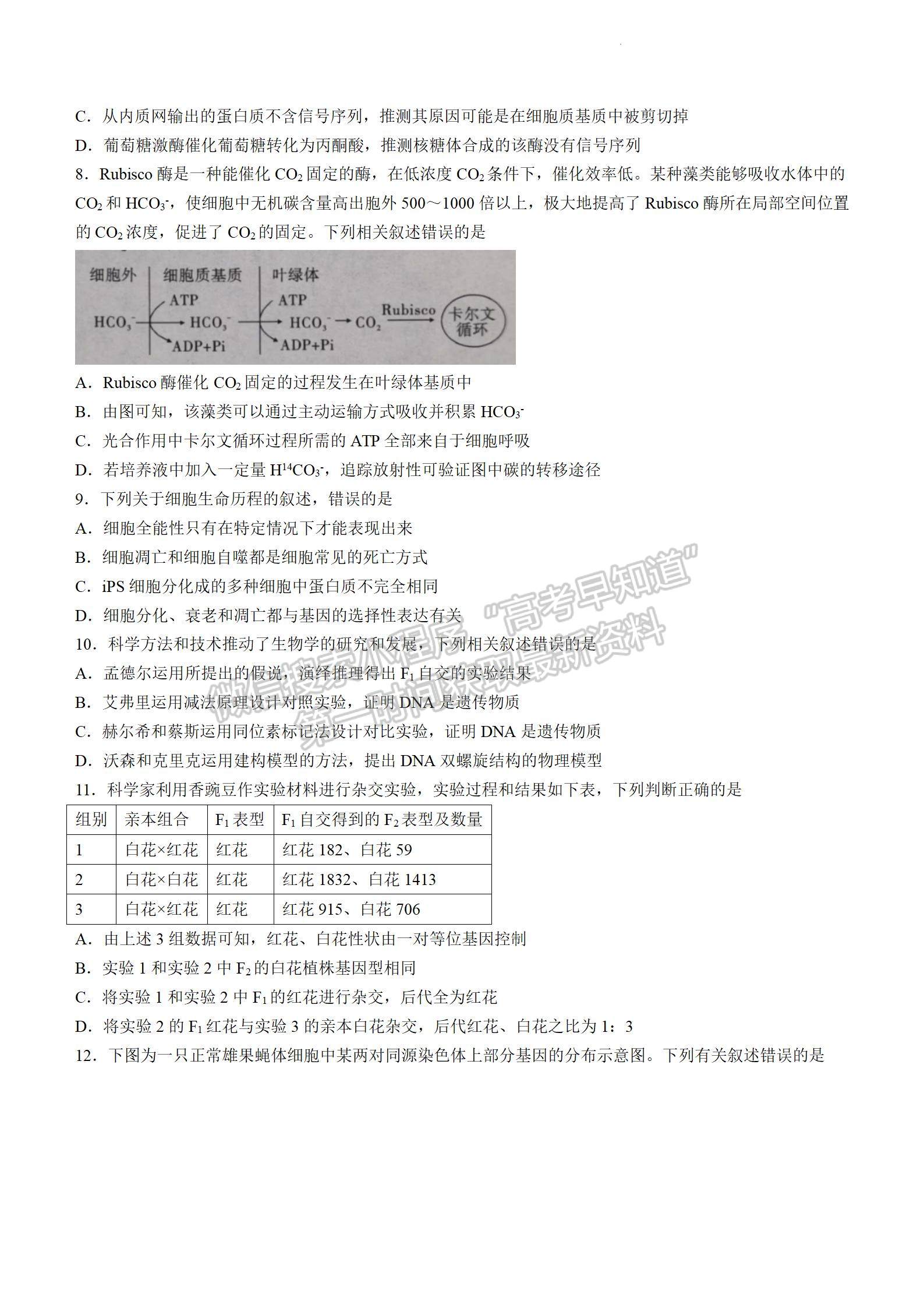 2024届安徽省江淮十校高三上学期第二次联考生物试题及参考答案