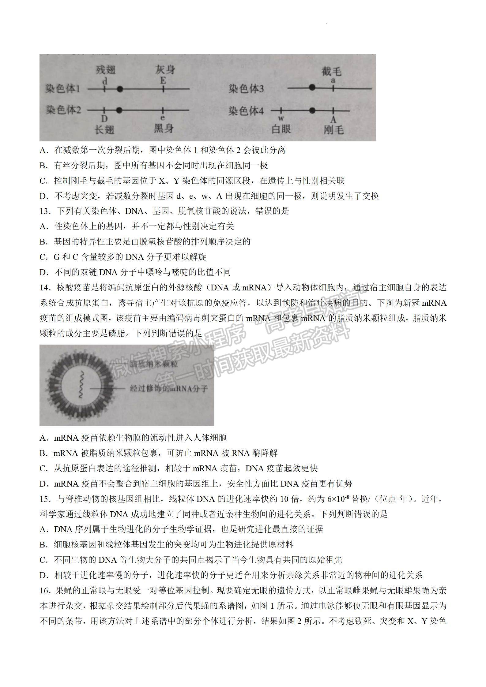 2024屆安徽省江淮十校高三上學期第二次聯考生物試題及參考答案