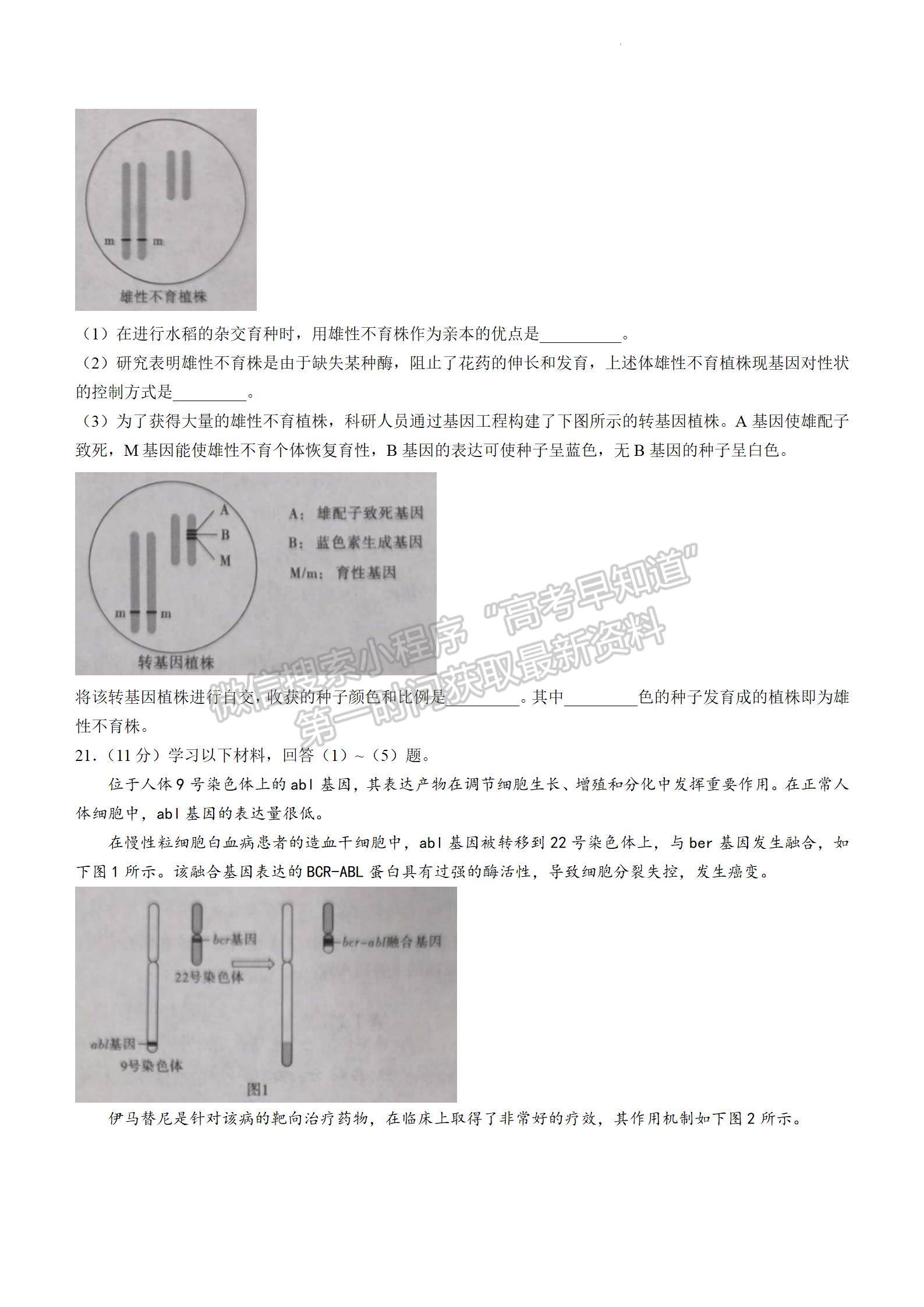 2024屆安徽省江淮十校高三上學期第二次聯(lián)考生物試題及參考答案