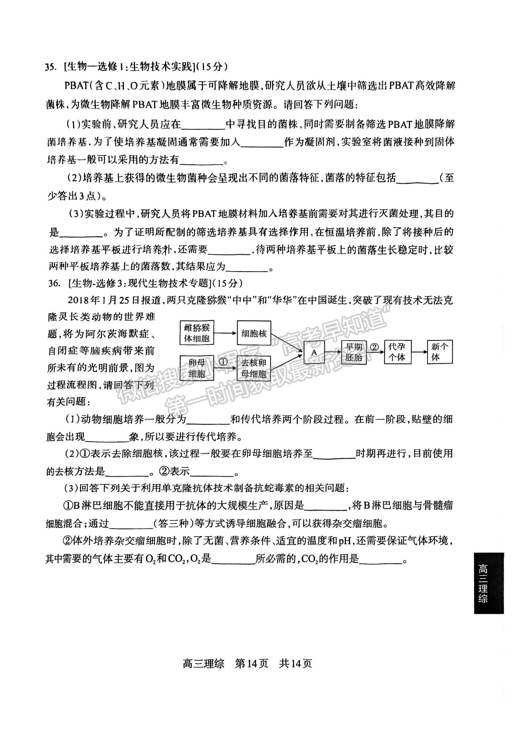 2024四川省攀枝花市2024届高三第一次统一考试理综试卷及答案