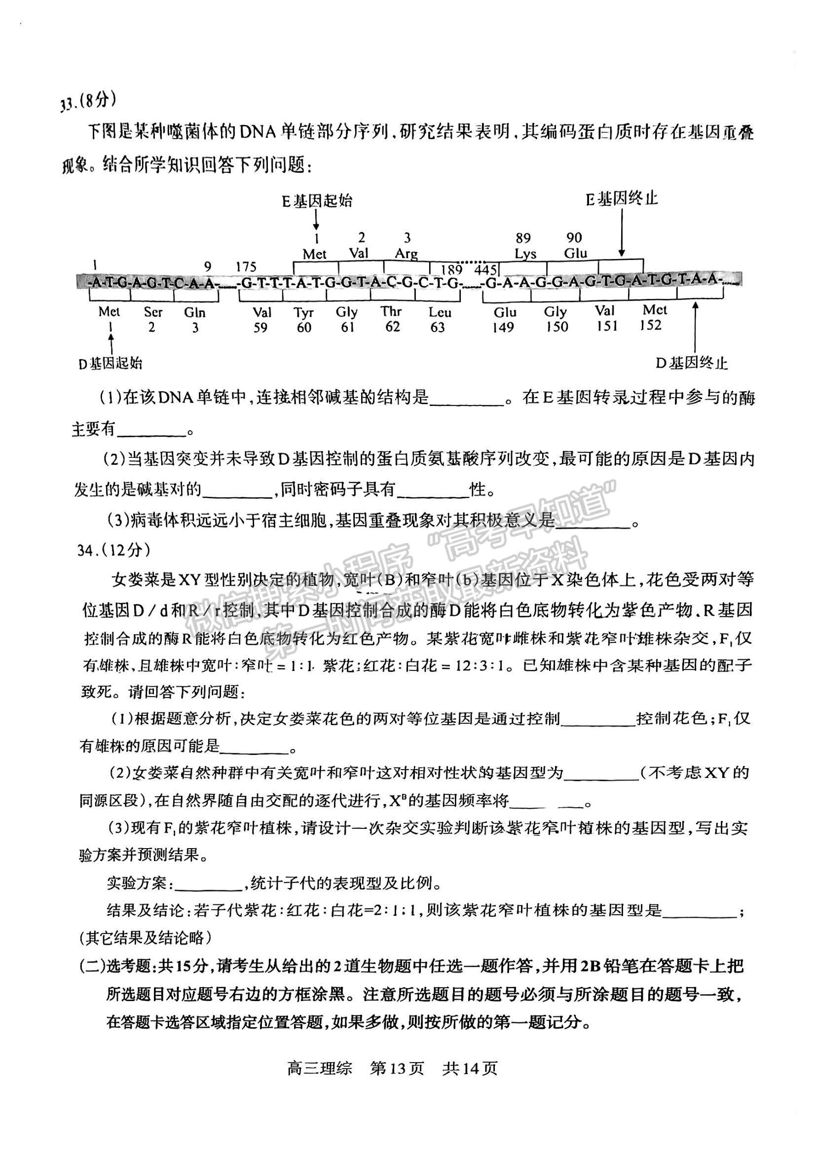 2024四川省攀枝花市2024届高三第一次统一考试理综试卷及答案