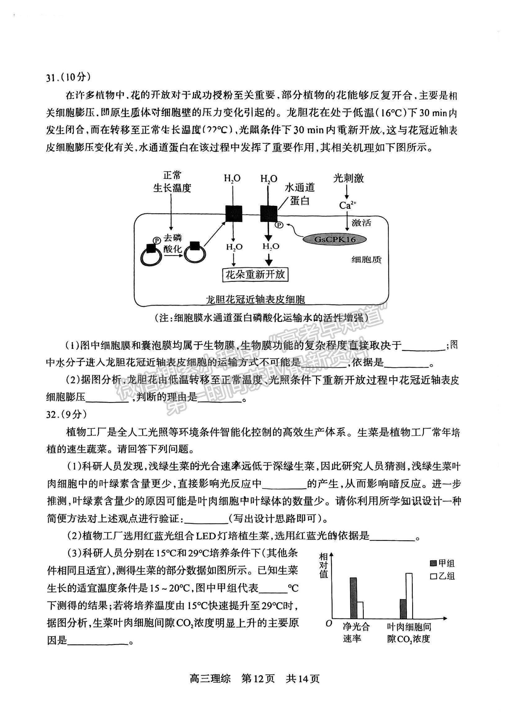 2024四川省攀枝花市2024届高三第一次统一考试理综试卷及答案