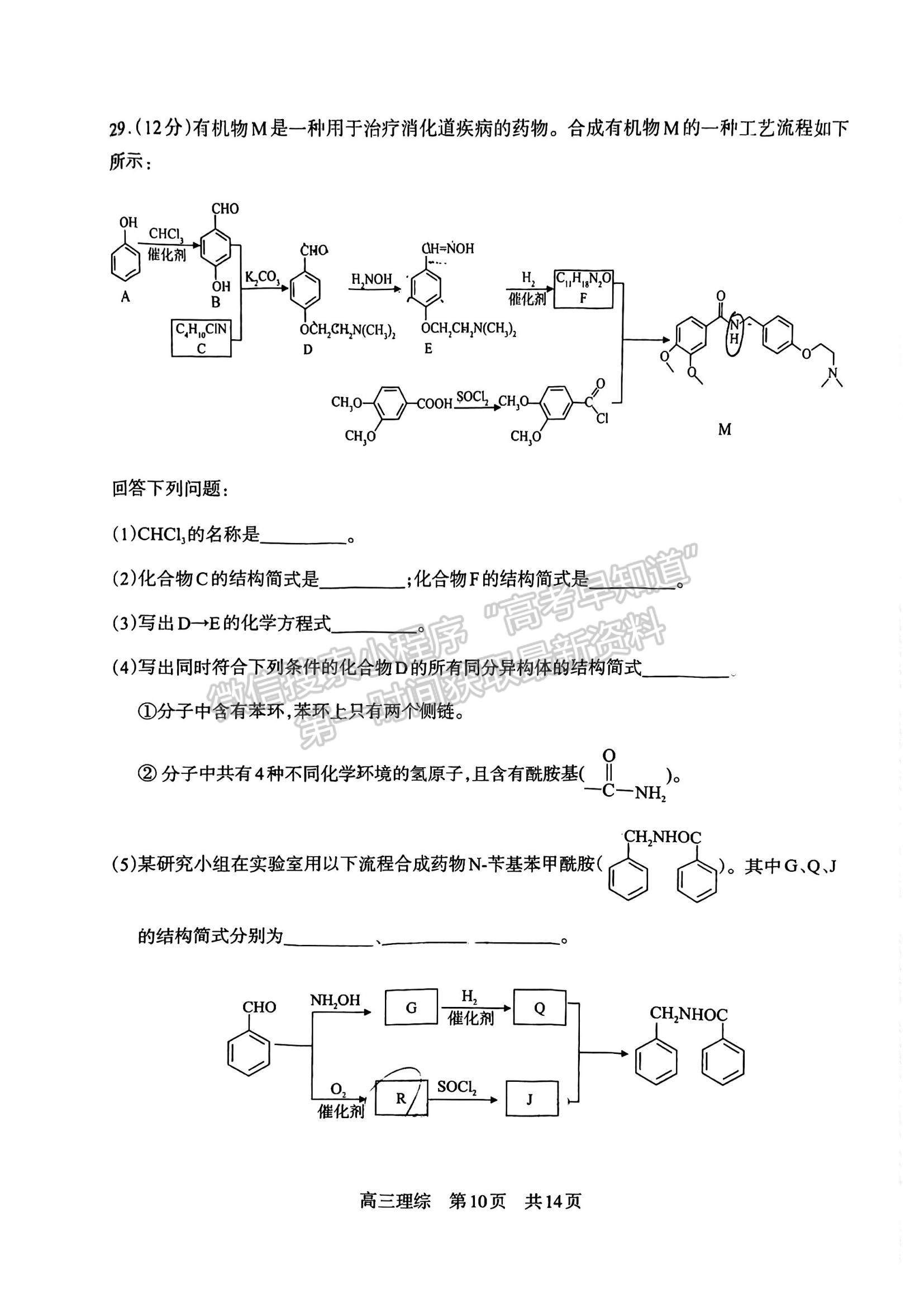 2024四川省攀枝花市2024届高三第一次统一考试理综试卷及答案