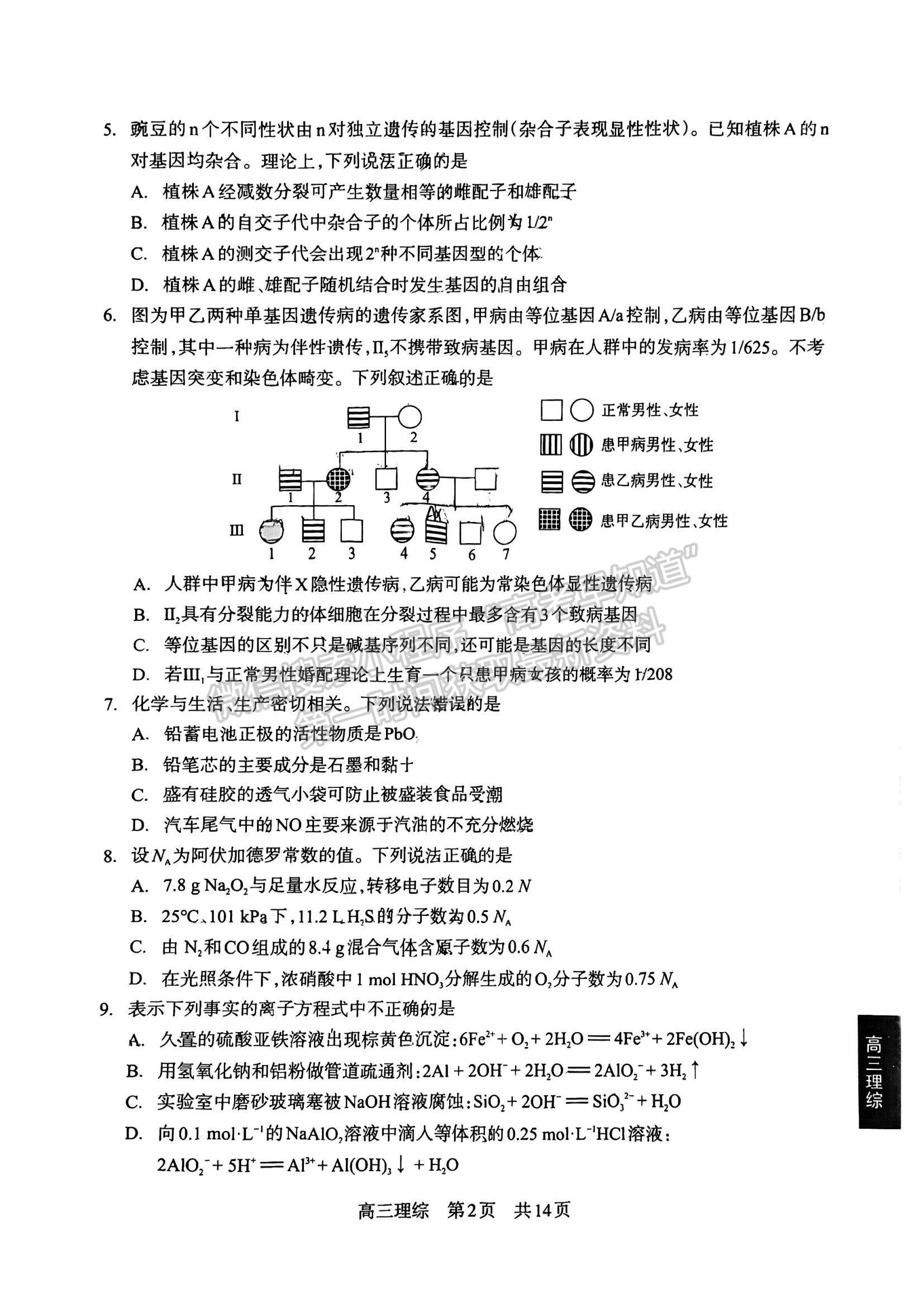 2024四川省攀枝花市2024屆高三第一次統(tǒng)一考試?yán)砭C試卷及答案