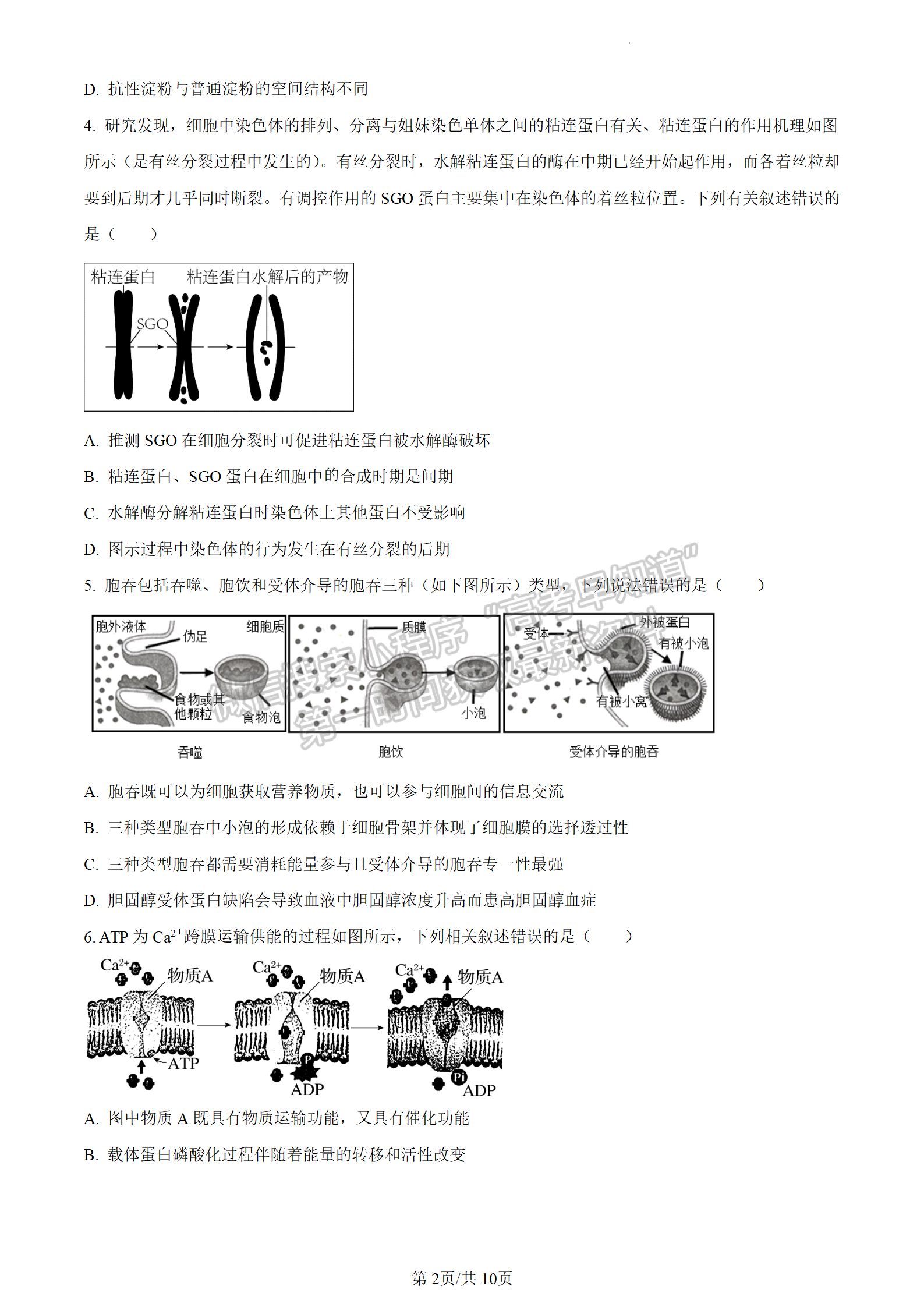 2024屆廣東省惠州市高三上學期第二次調研生物試題及答案