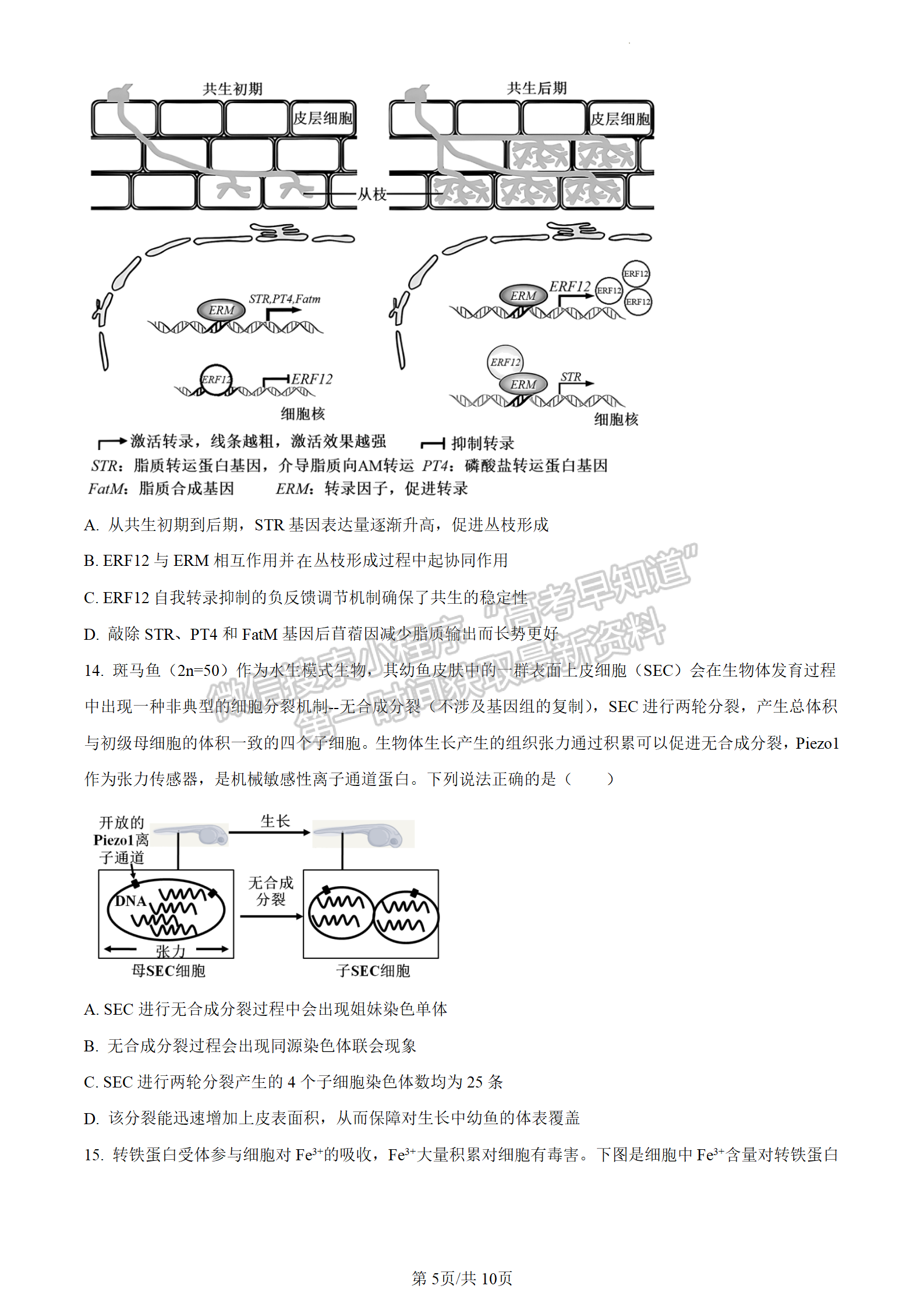 2024屆廣東省惠州市高三上學(xué)期第二次調(diào)研生物試題及答案