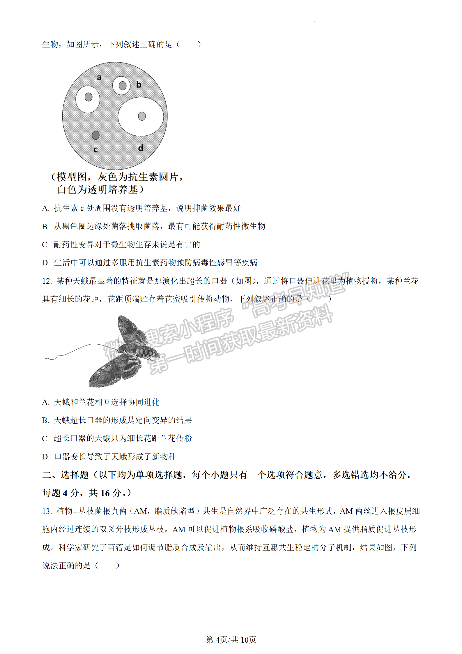 2024屆廣東省惠州市高三上學期第二次調研生物試題及答案