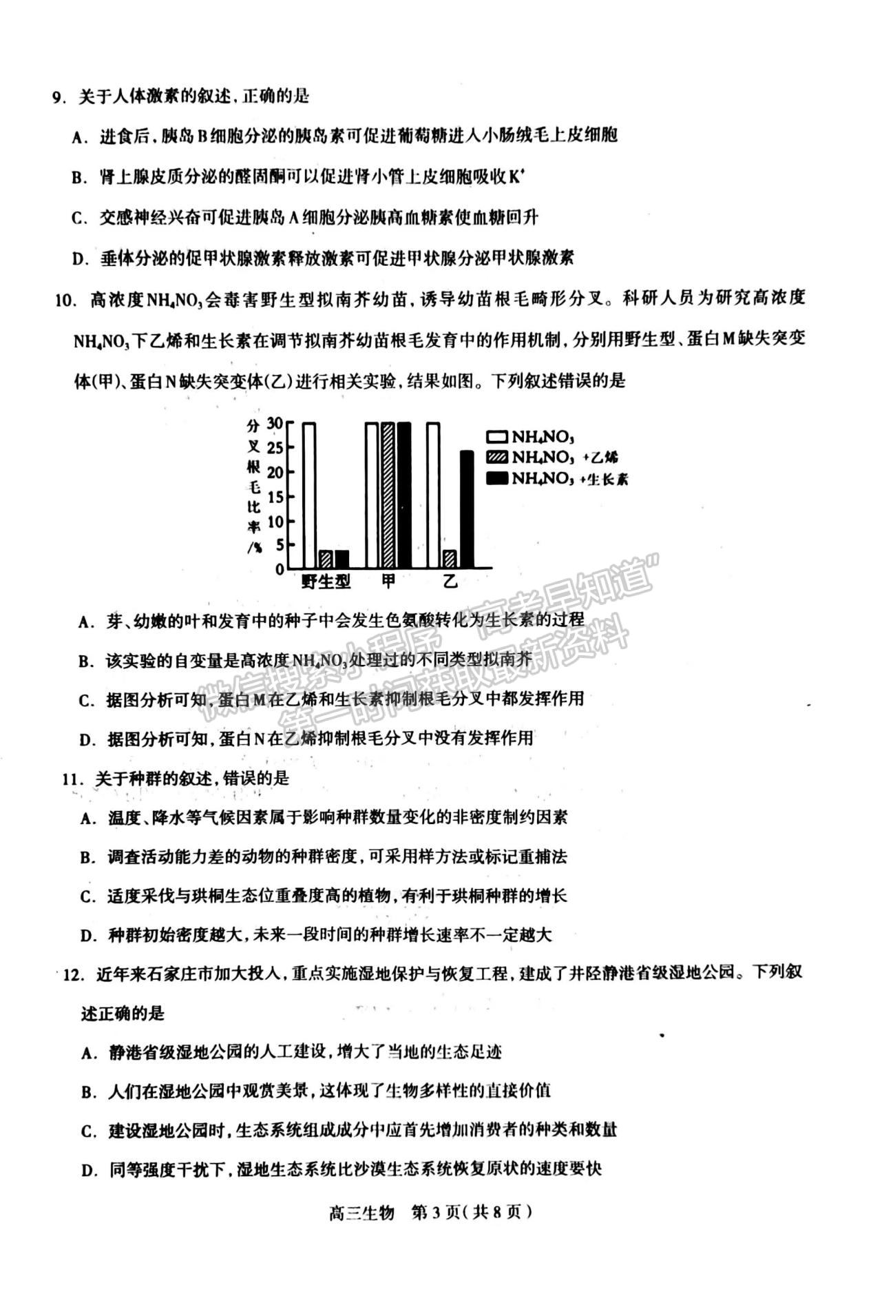 2024河北石家莊市高三11月質(zhì)量摸底檢測(cè)生物試卷及答案