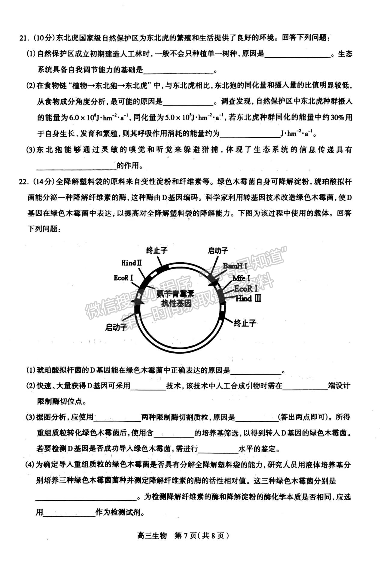 2024河北石家莊市高三11月質(zhì)量摸底檢測生物試卷及答案