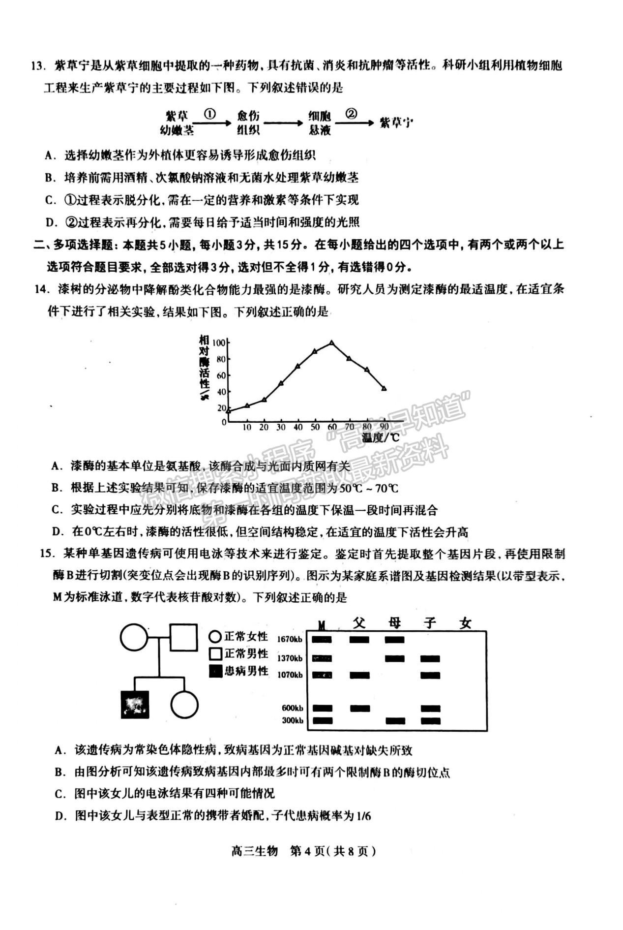 2024河北石家莊市高三11月質(zhì)量摸底檢測(cè)生物試卷及答案