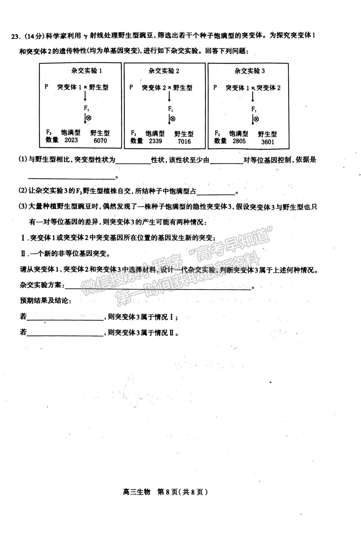 2024河北石家莊市高三11月質(zhì)量摸底檢測生物試卷及答案