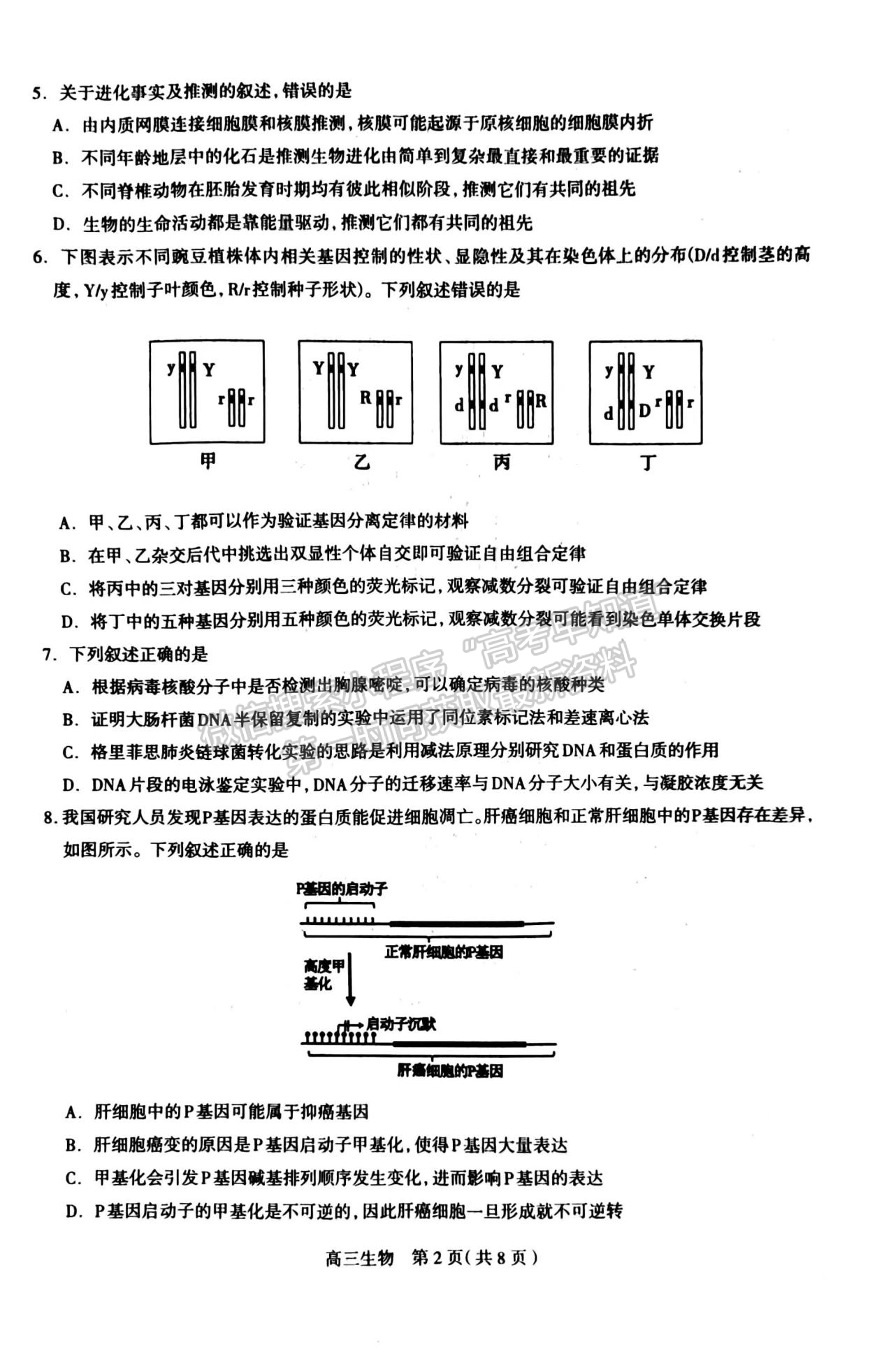 2024河北石家莊市高三11月質(zhì)量摸底檢測生物試卷及答案