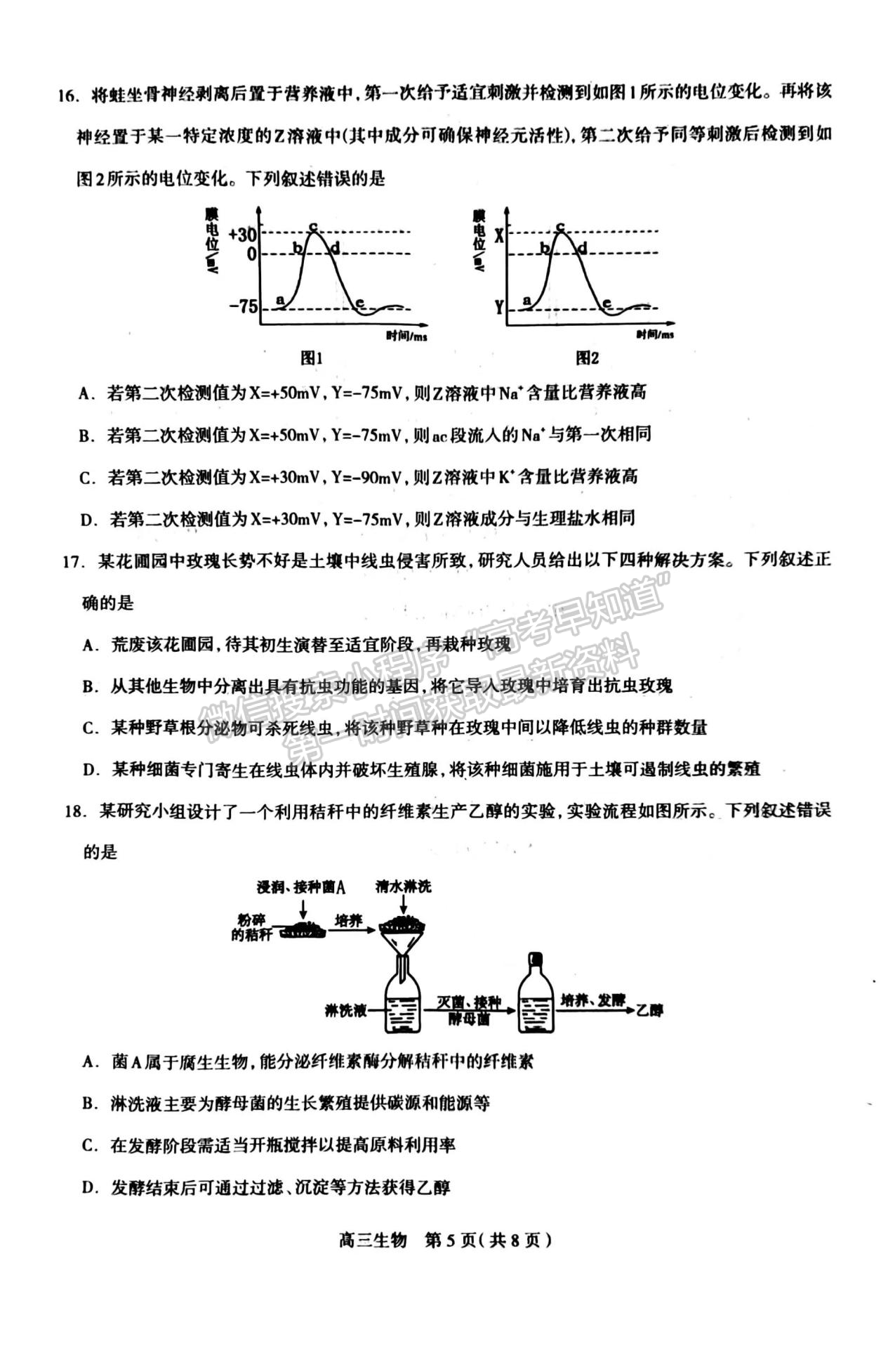 2024河北石家莊市高三11月質(zhì)量摸底檢測生物試卷及答案