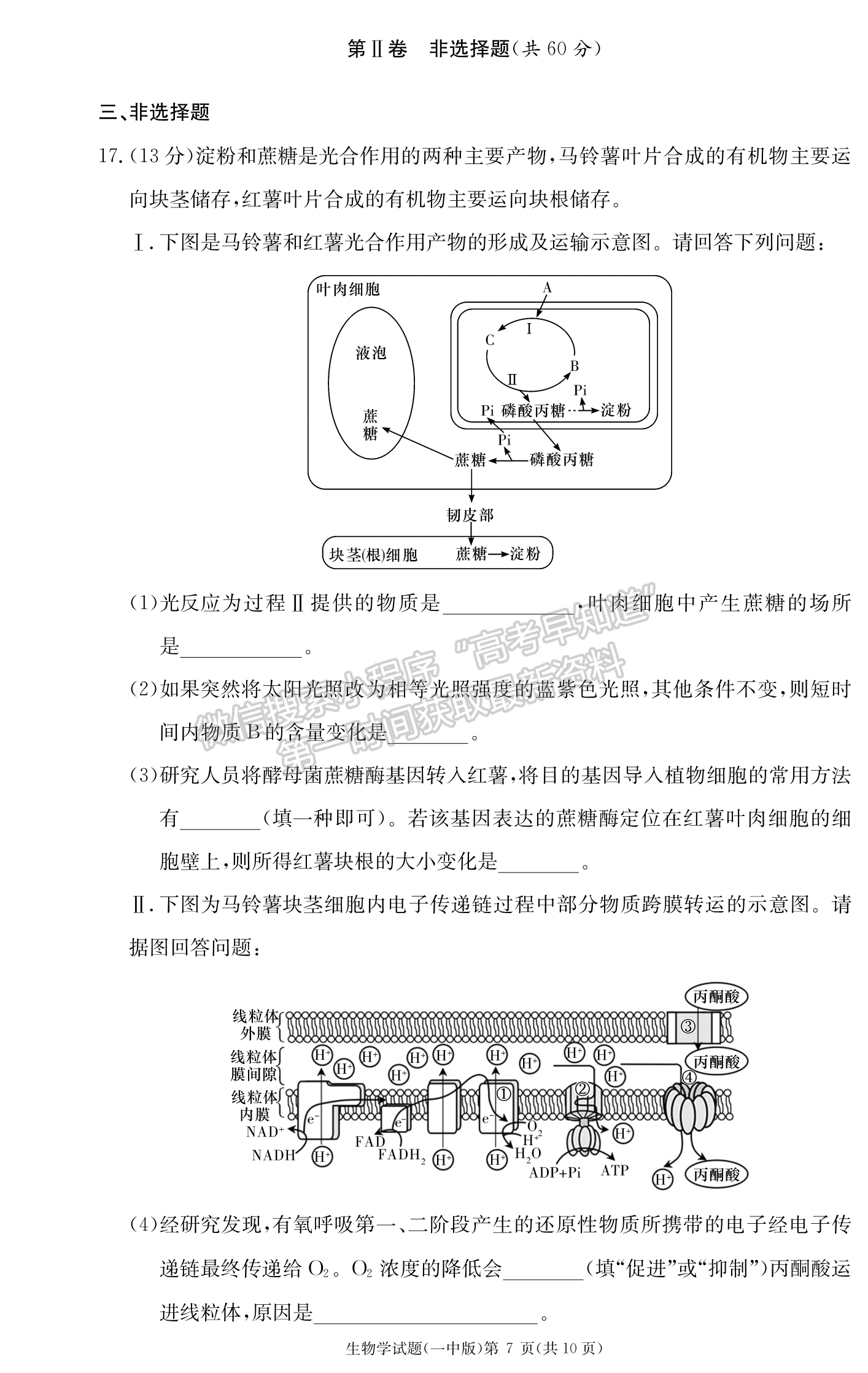 2024屆湖南省長(zhǎng)沙一中高三月考（三）生物試題及答案