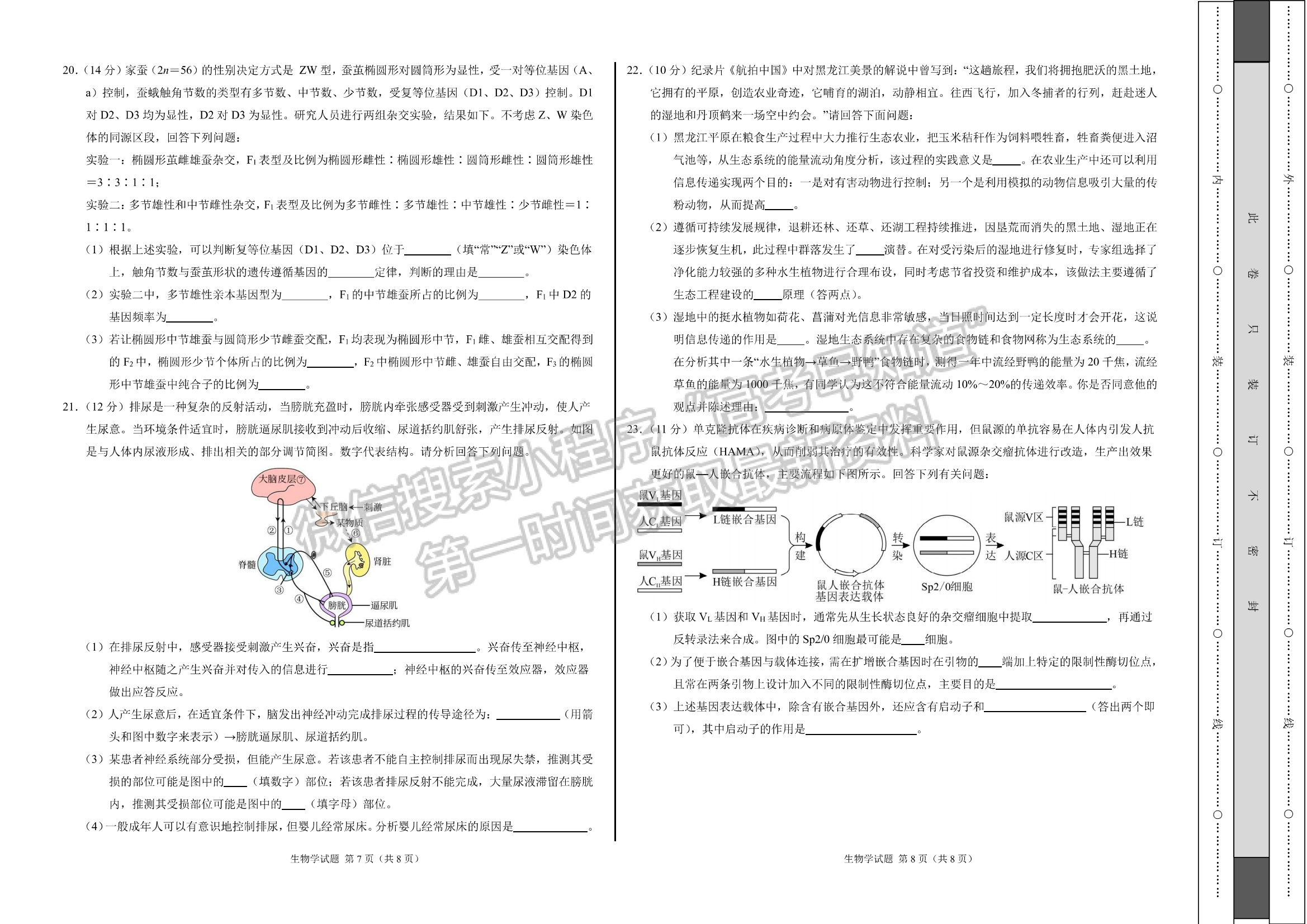 2024河北石家庄部分名校高三上学期11月大联考考后强化卷生物试卷及答案