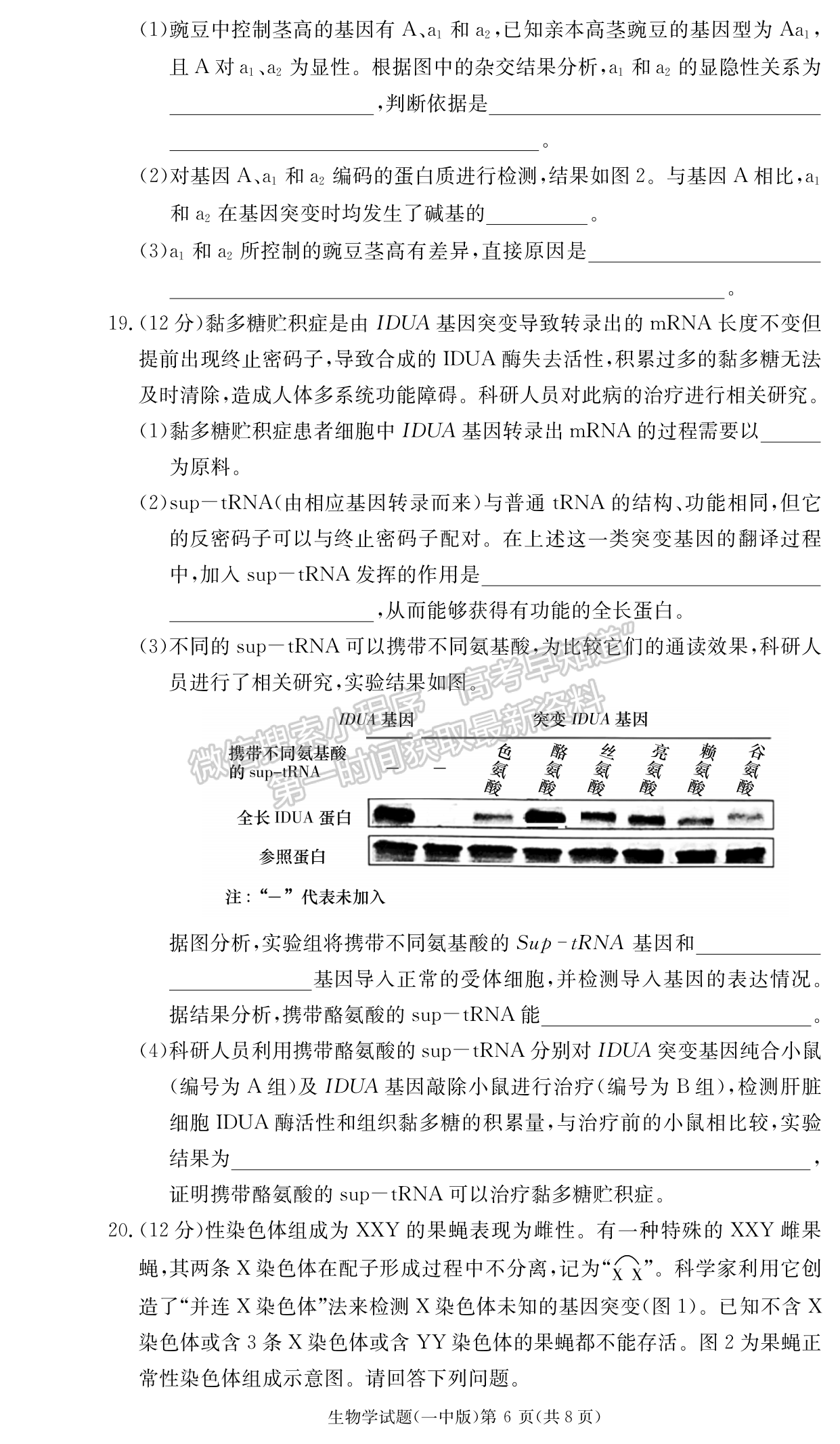 2024届湖南省长沙一中高三月考（四）生物试题及答案