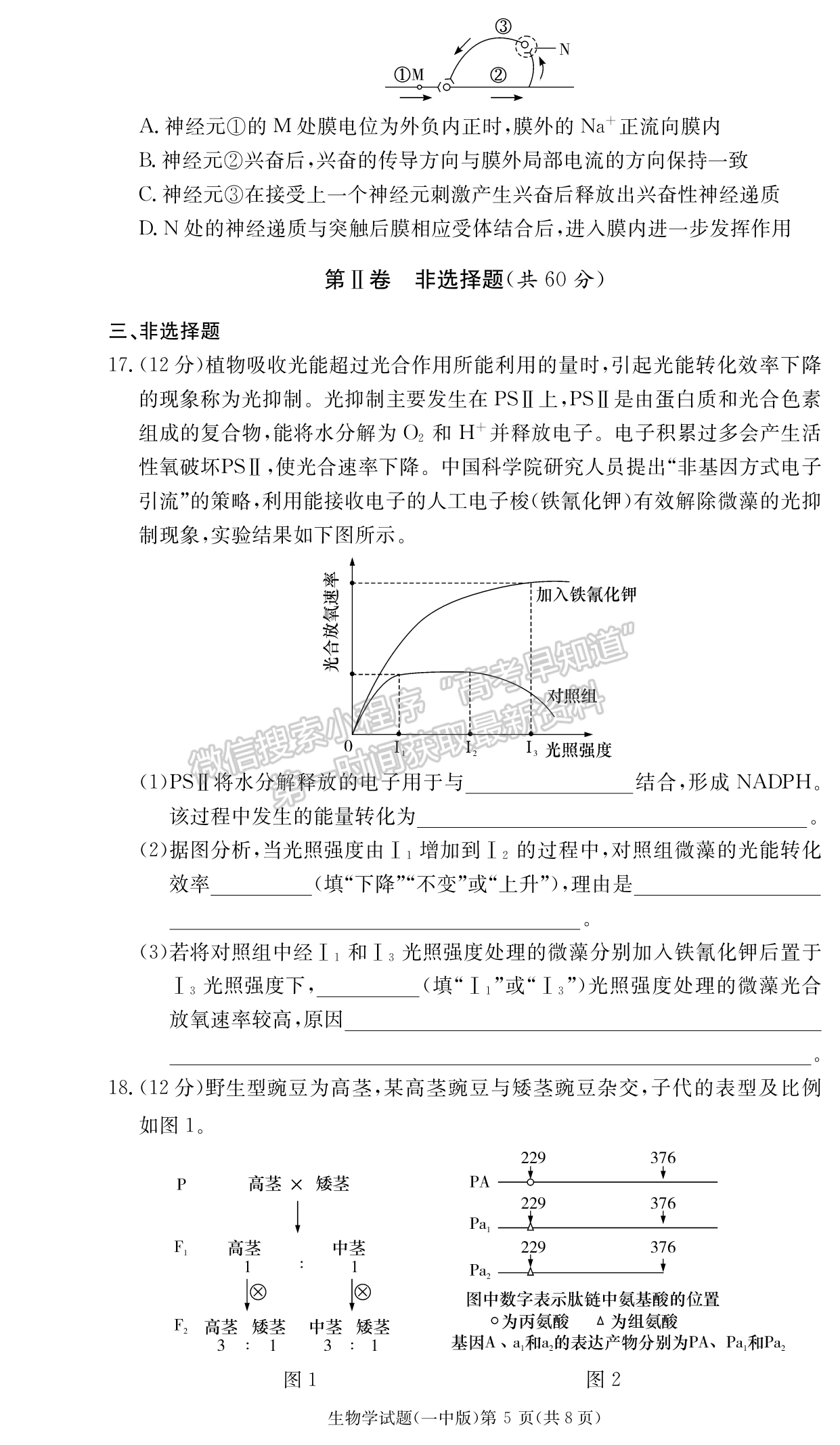 2024届湖南省长沙一中高三月考（四）生物试题及答案