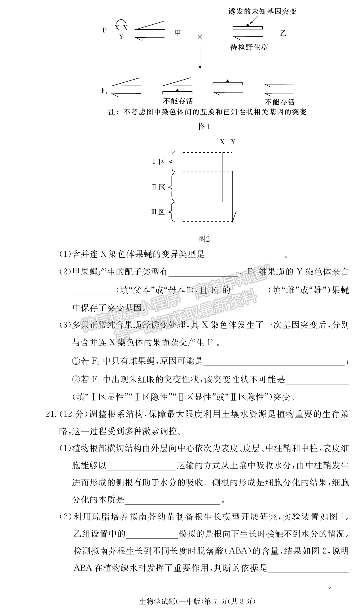 2024届湖南省长沙一中高三月考（四）生物试题及答案