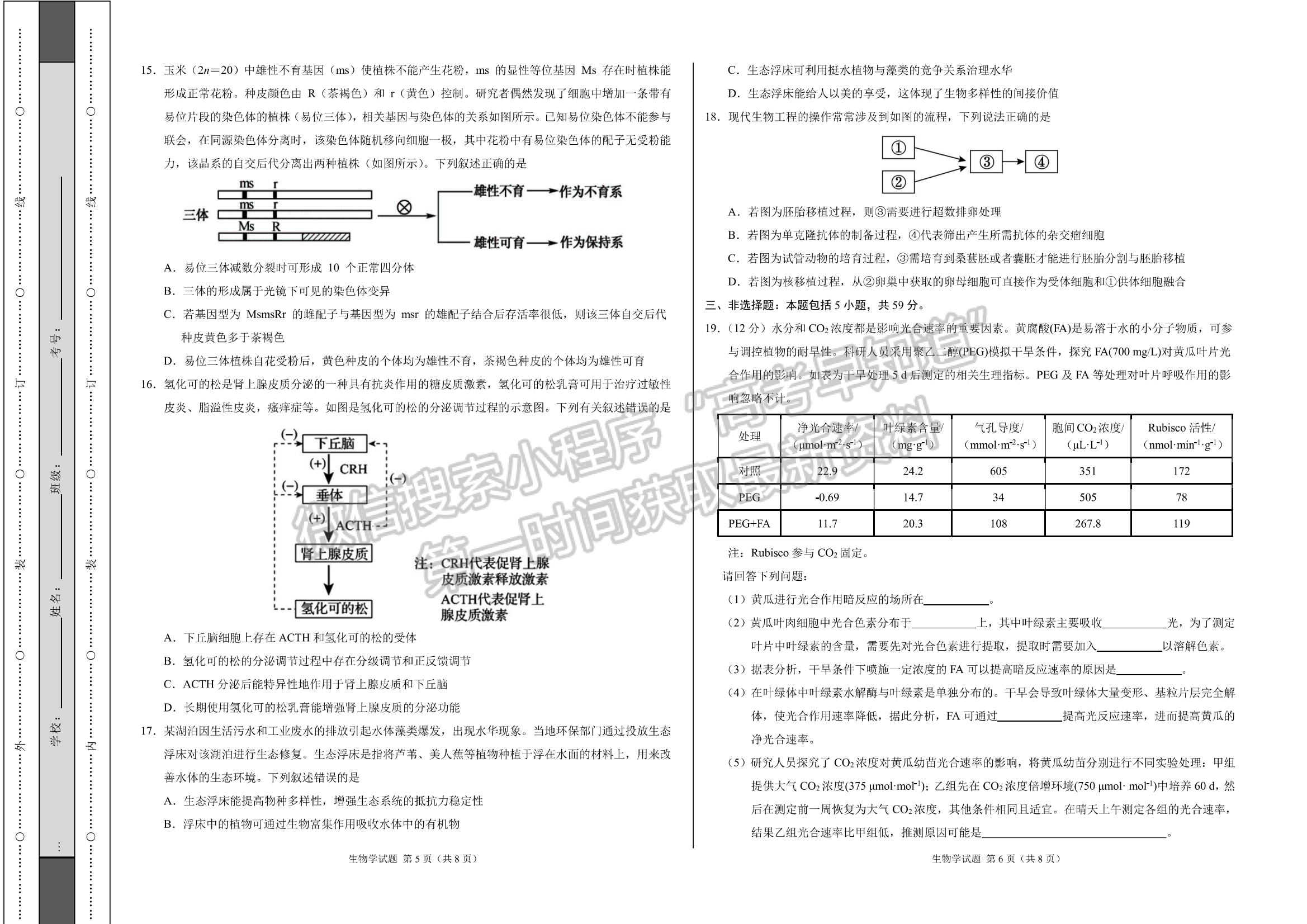 2024河北石家莊部分名校高三上學期11月大聯(lián)考考后強化卷生物試卷及答案