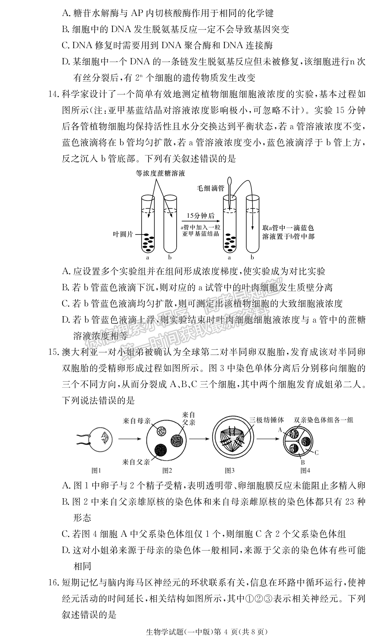 2024届湖南省长沙一中高三月考（四）生物试题及答案