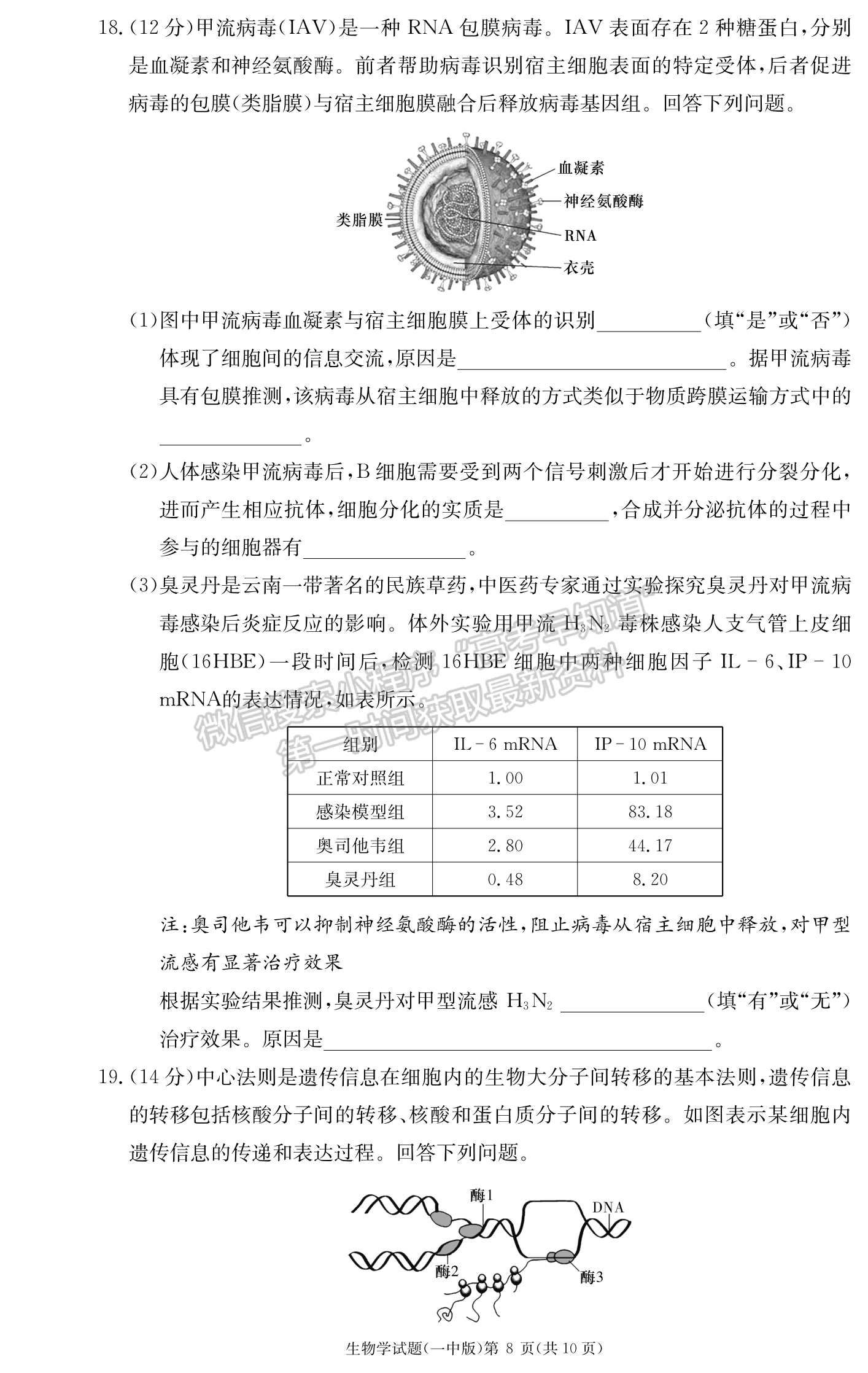 2024屆湖南省長(zhǎng)沙一中高三月考（三）生物試題及答案