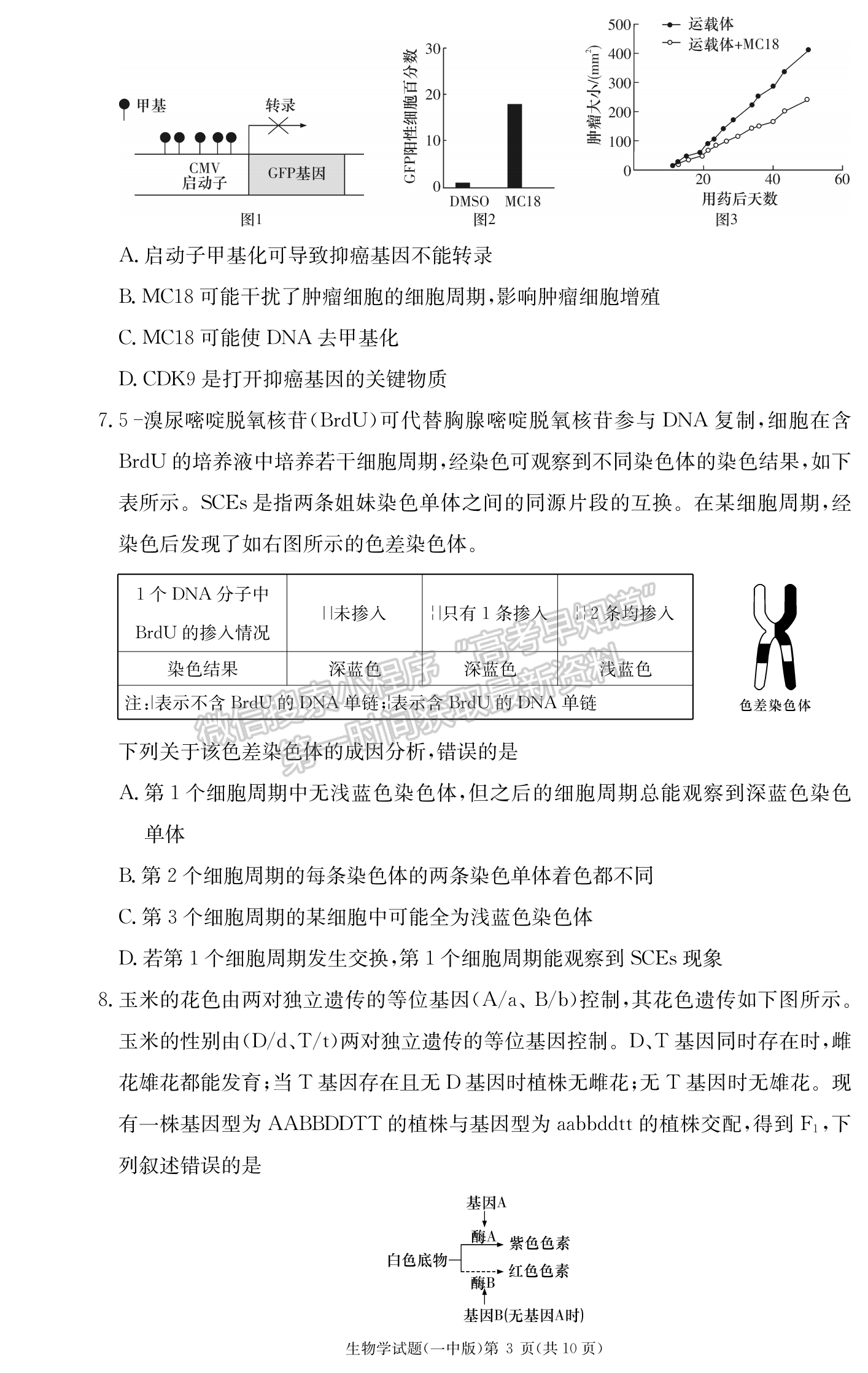 2024届湖南省长沙一中高三月考（三）生物试题及答案