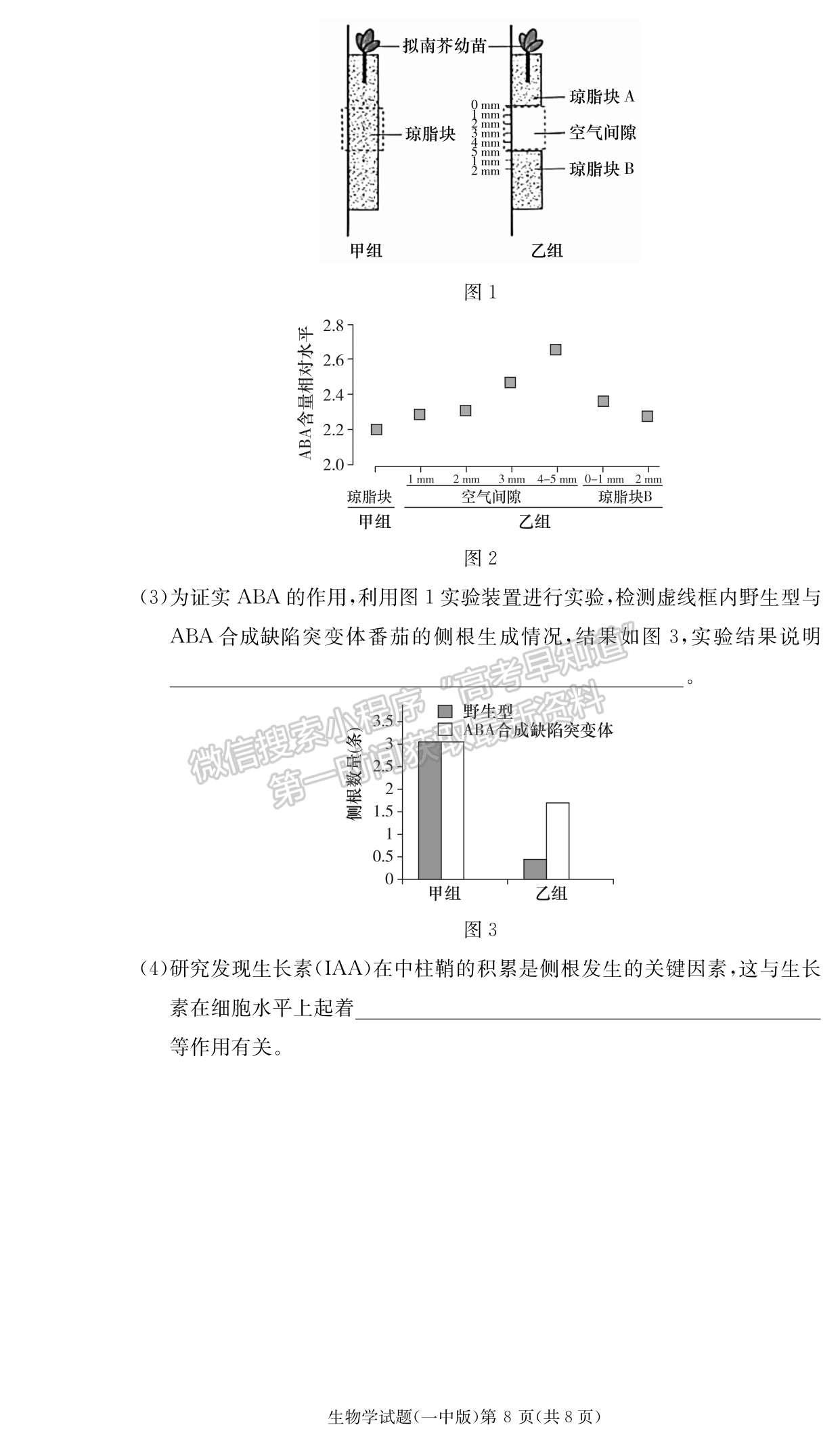 2024届湖南省长沙一中高三月考（四）生物试题及答案