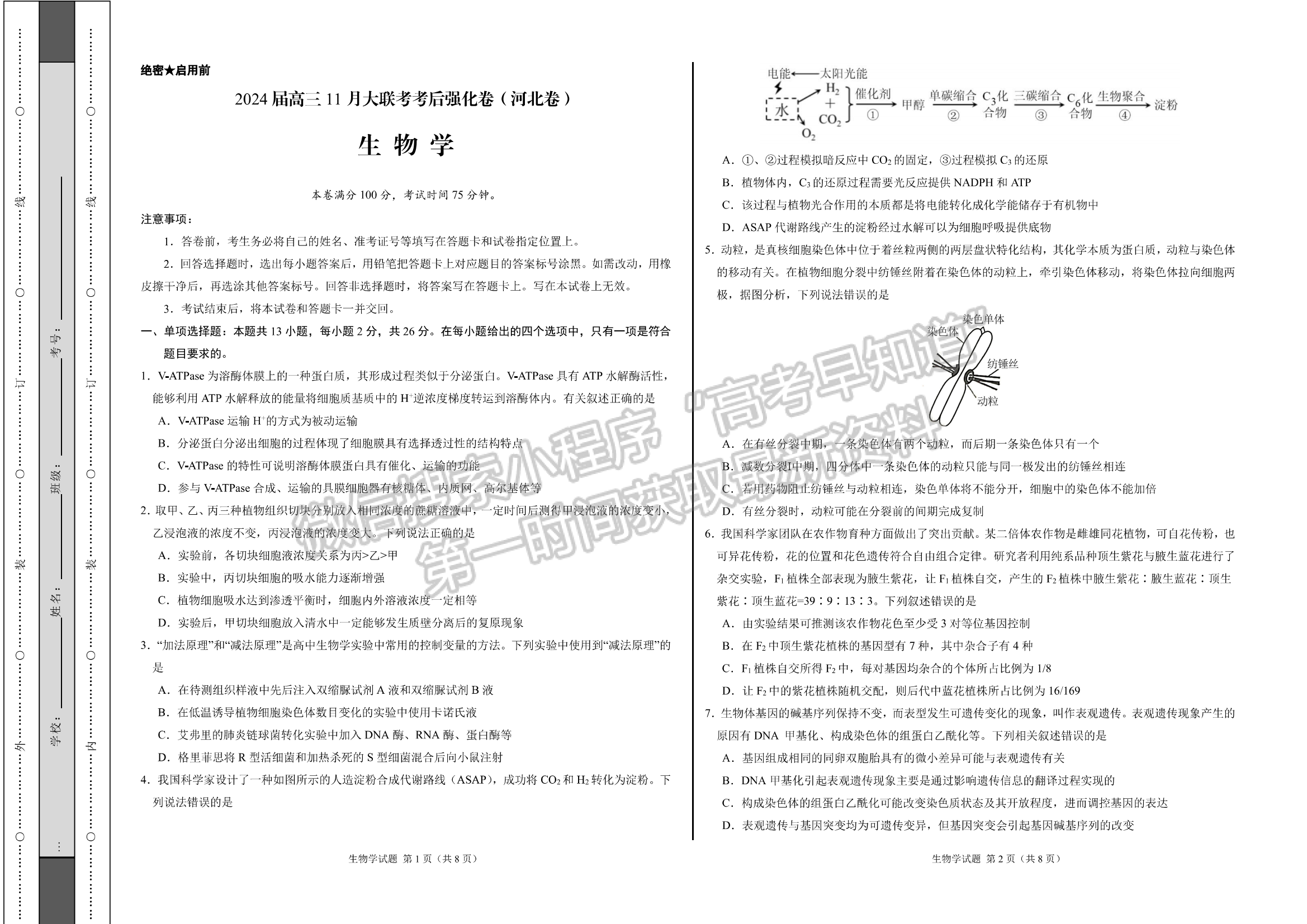 2024河北石家庄部分名校高三上学期11月大联考考后强化卷生物试卷及答案