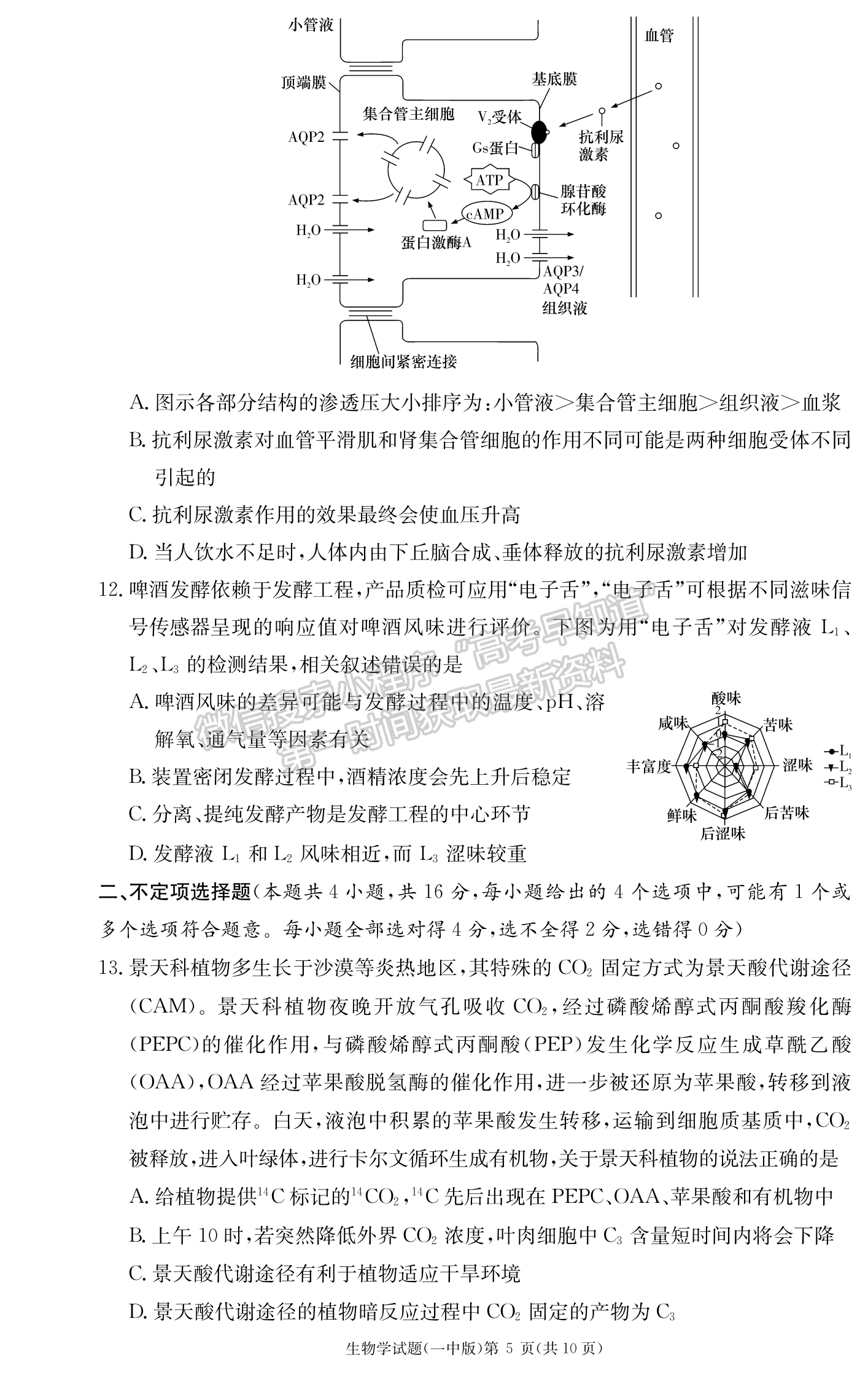 2024屆湖南省長(zhǎng)沙一中高三月考（三）生物試題及答案