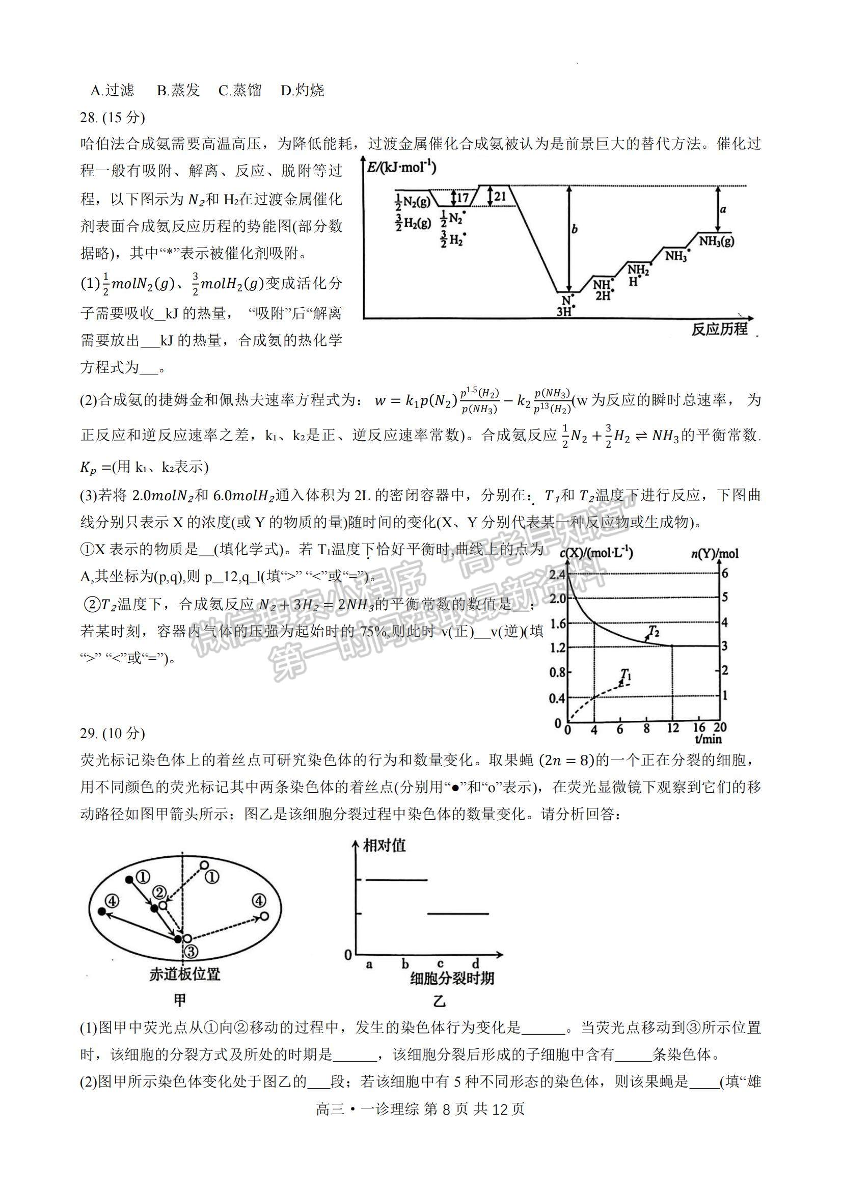 四川省瀘州市2023-2024學(xué)年高三上學(xué)期第一次教學(xué)質(zhì)量診斷性考試理綜試卷及參考答案