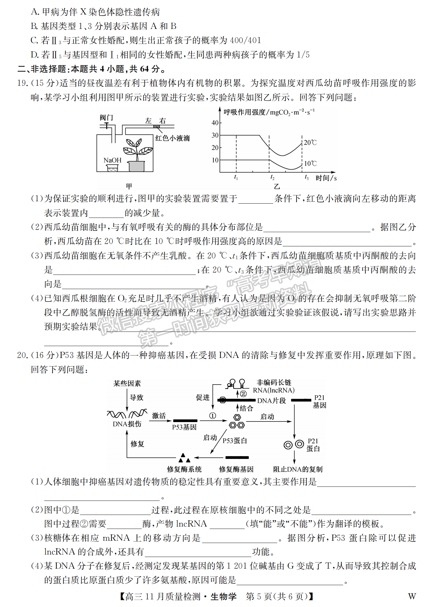 2024届湖北九师联盟高三11月质量检测生物试题及答案