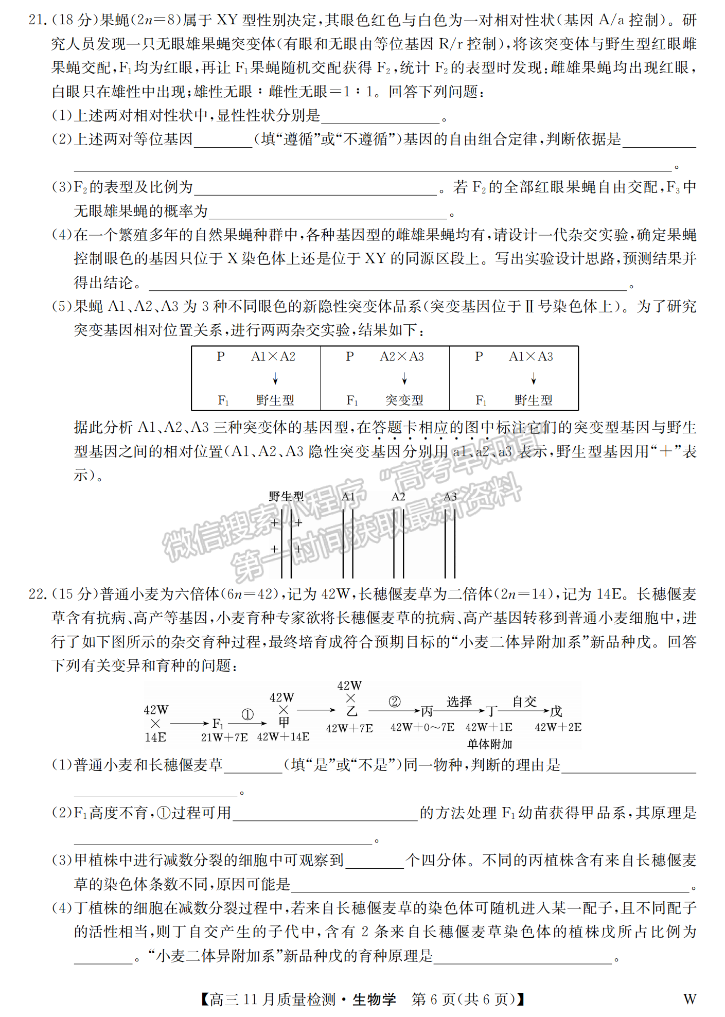 2024届湖北九师联盟高三11月质量检测生物试题及答案