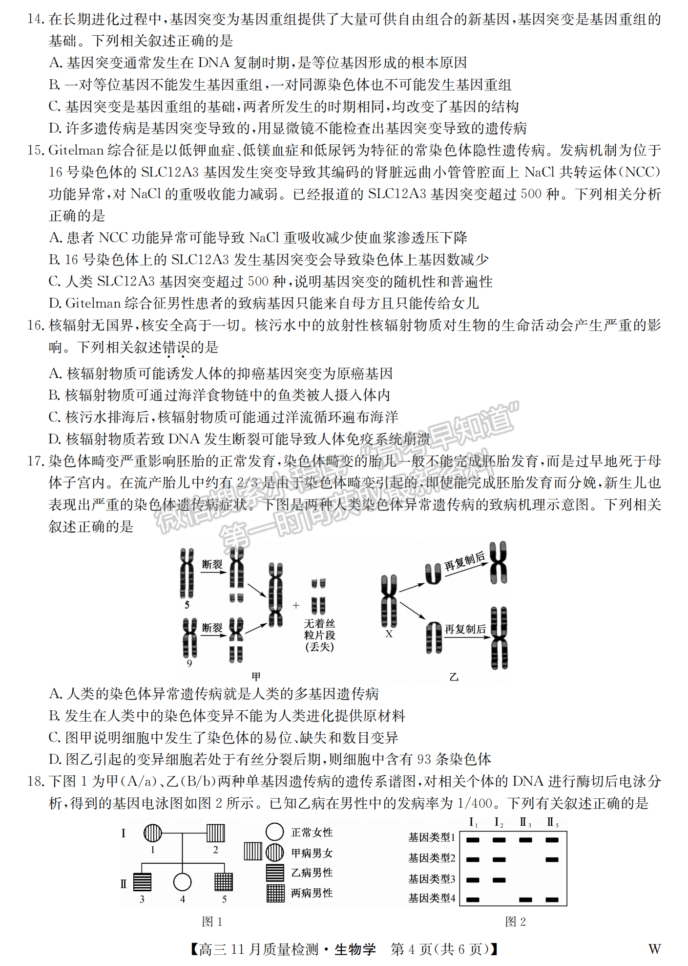 2024届湖北九师联盟高三11月质量检测生物试题及答案