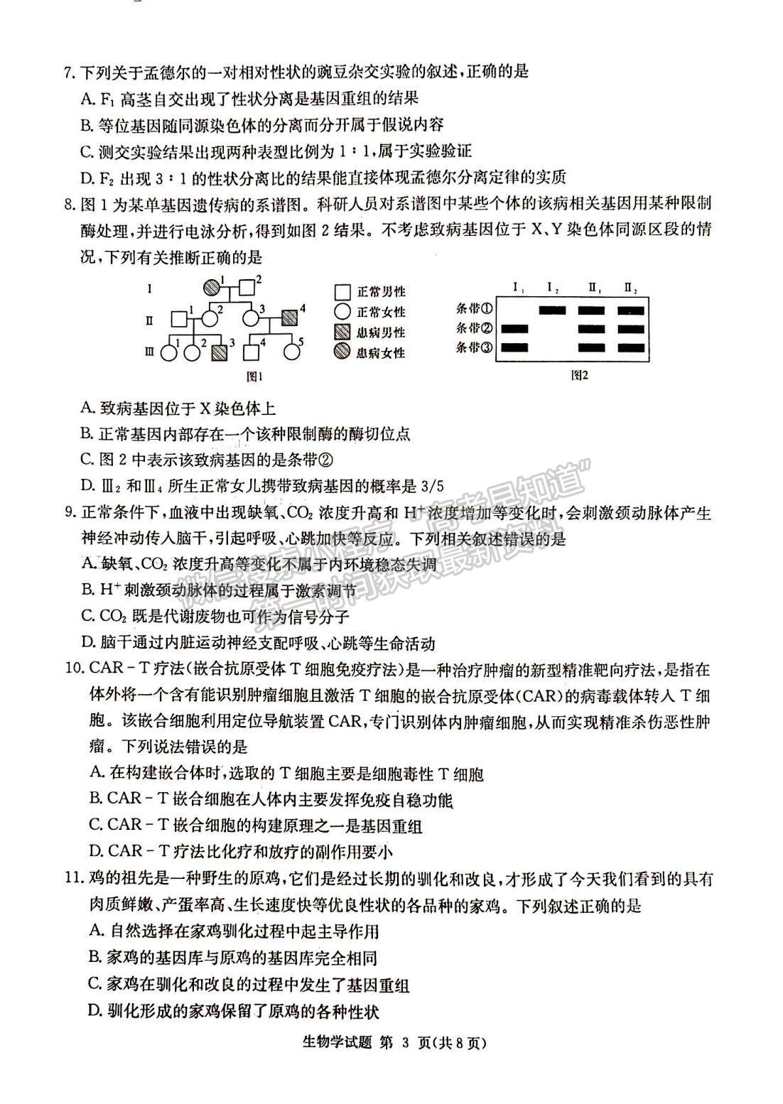 2024届湖南省九校联盟高三第一次联考生物试题及答案