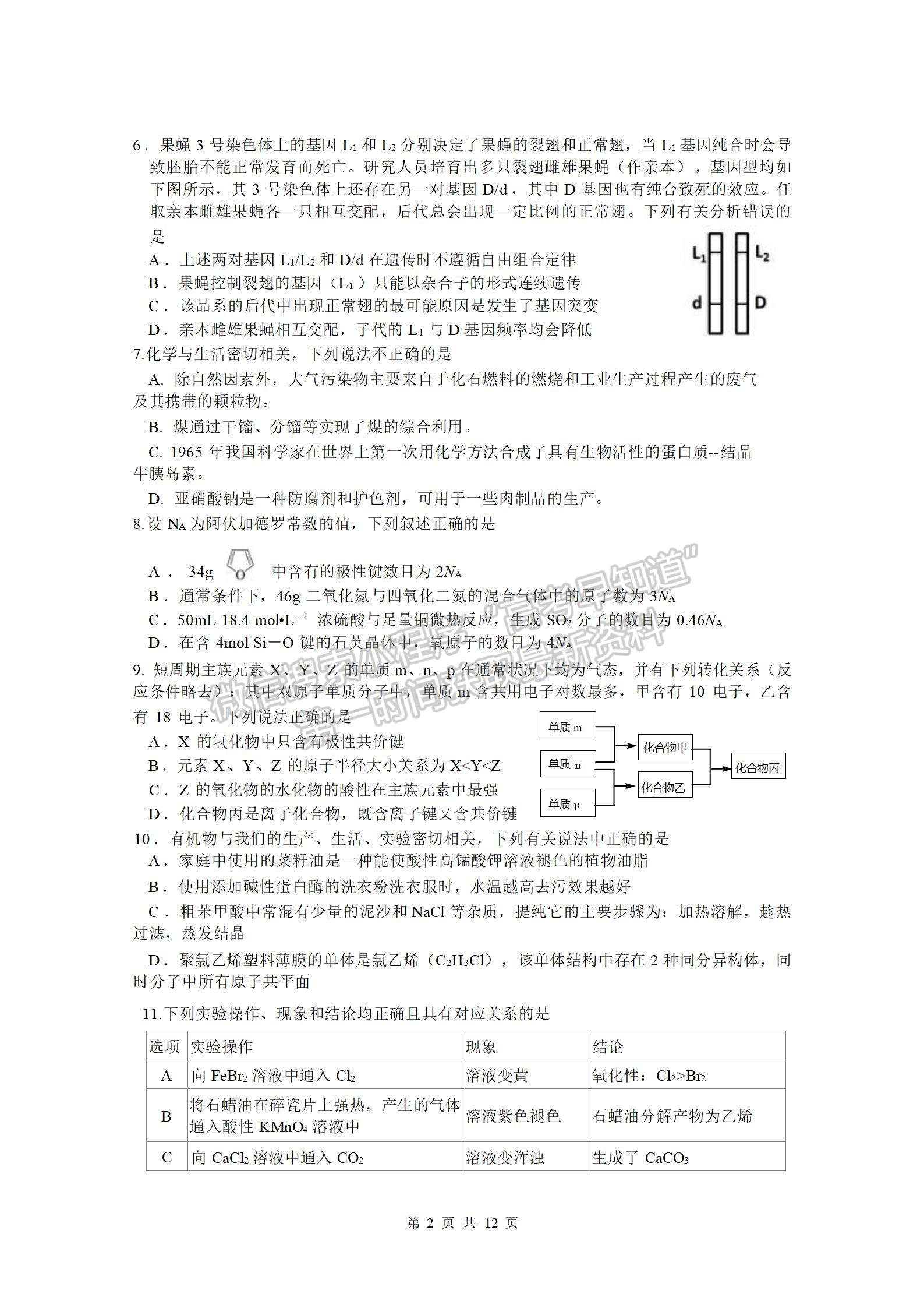 四川省綿陽南山中學(xué)2023-2024學(xué)年高三上學(xué)期12月月考理綜試卷及參考答案