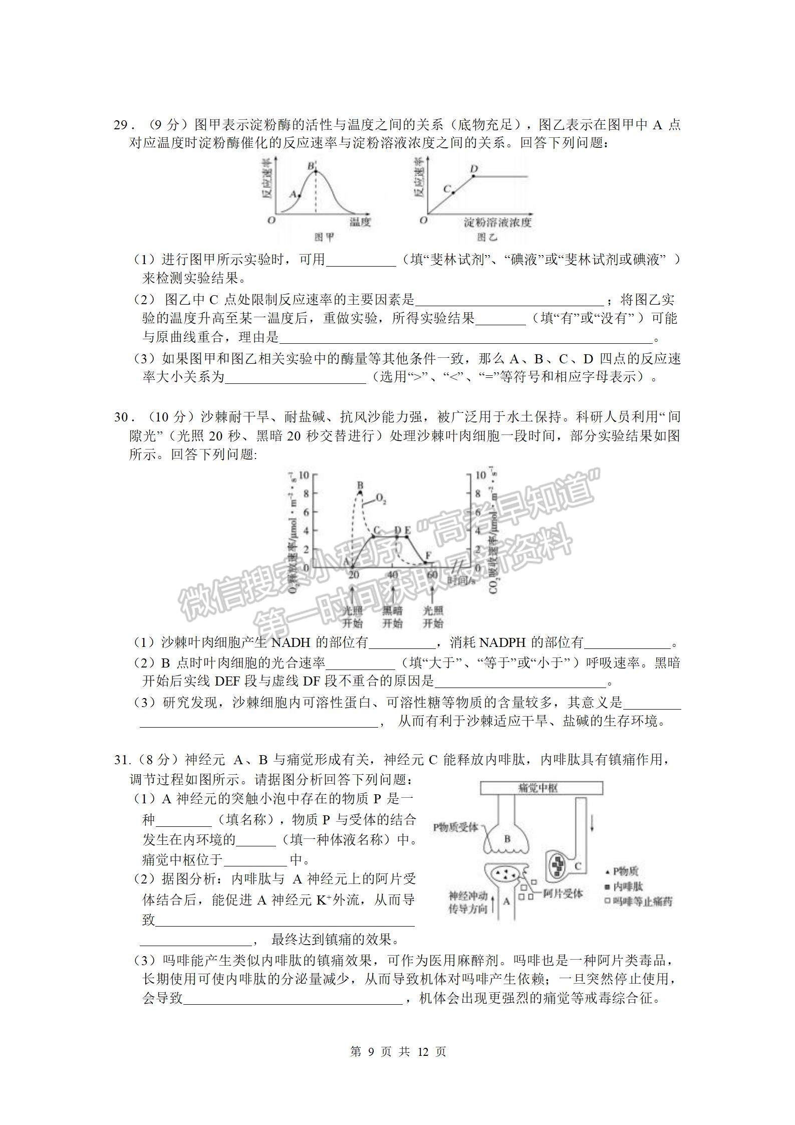 四川省綿陽南山中學(xué)2023-2024學(xué)年高三上學(xué)期12月月考理綜試卷及參考答案