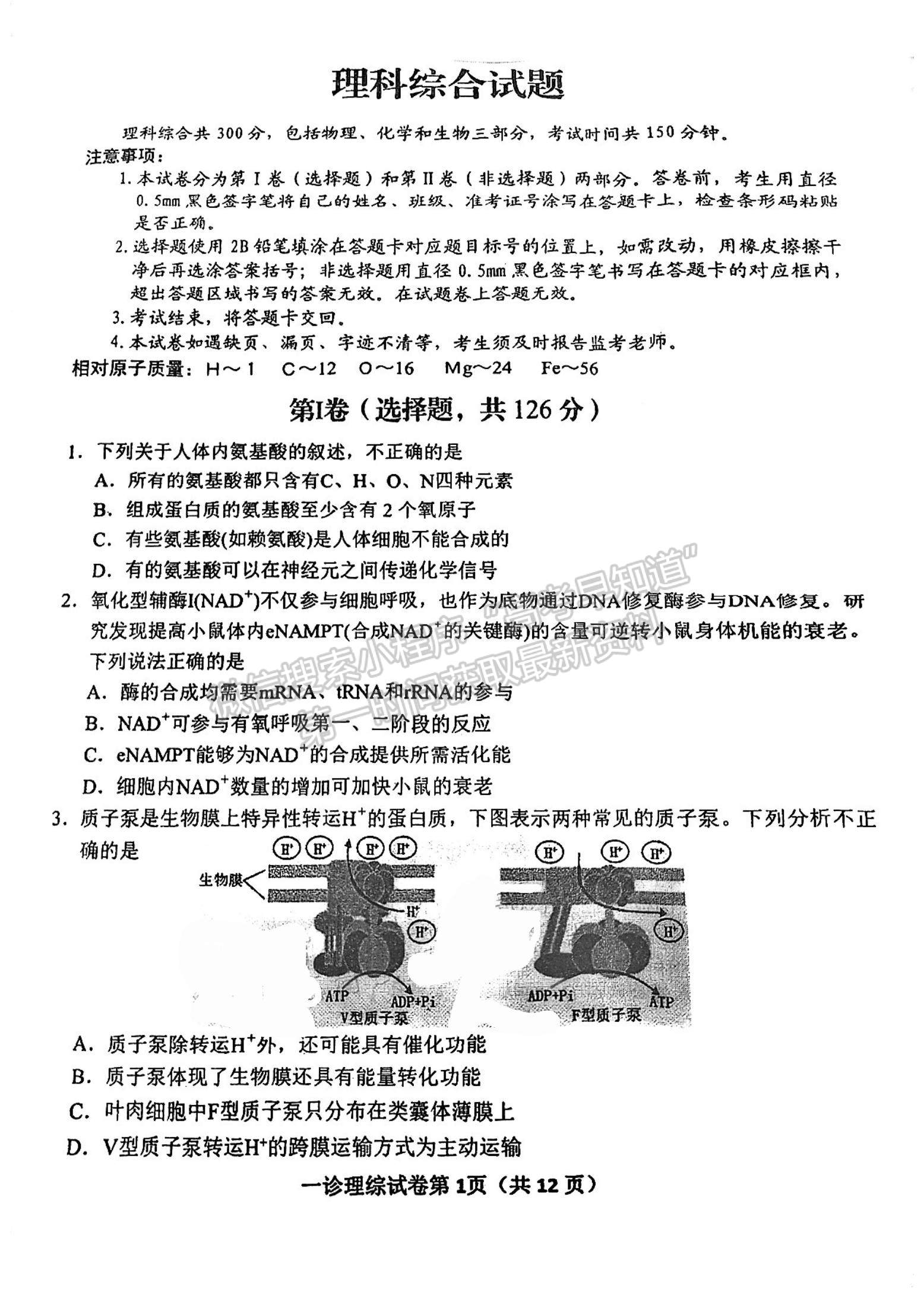 2024四川省達(dá)州市普通高中2024屆第一次診斷性考試?yán)砭C試題及答案