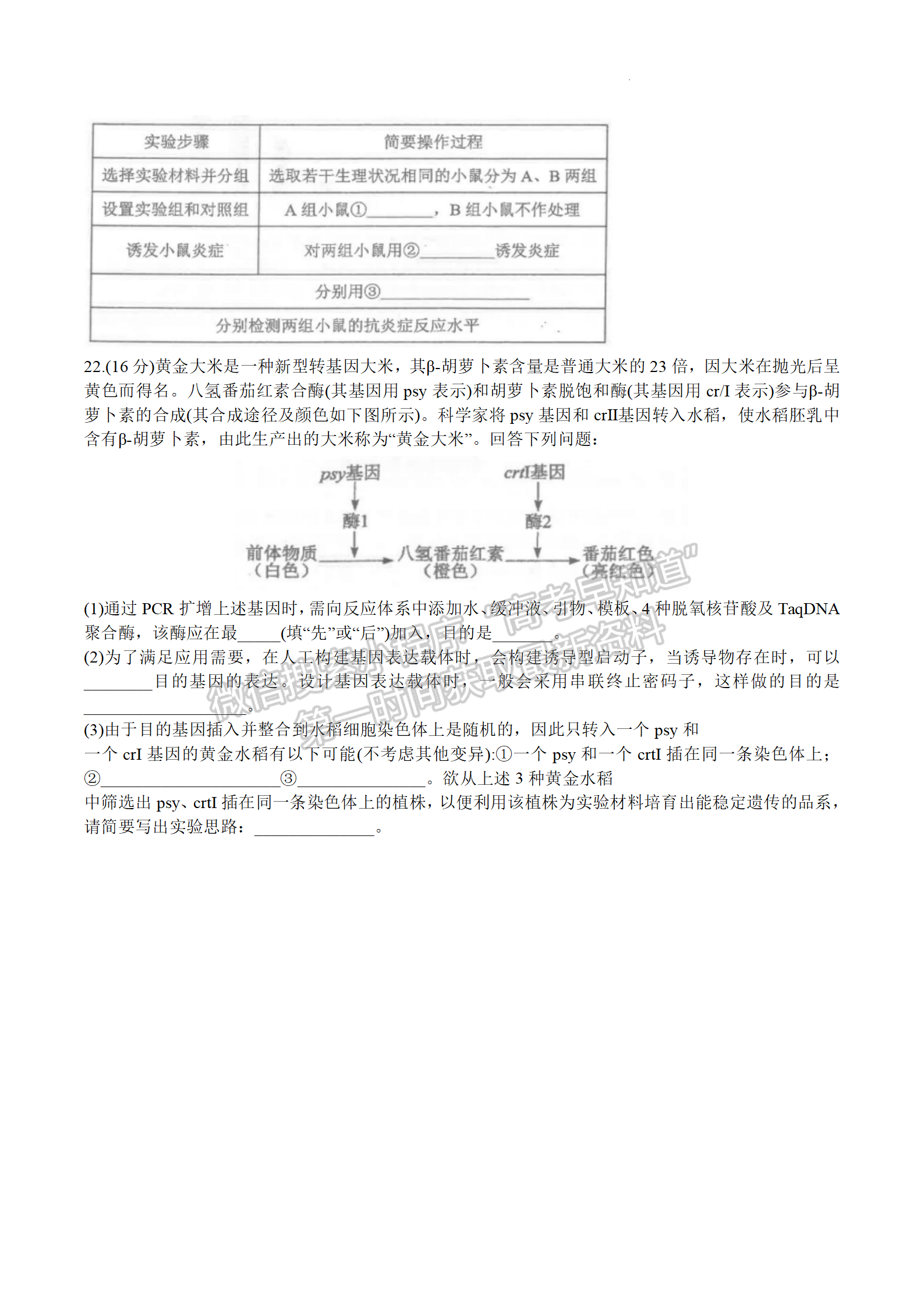 2024届湖北腾云联盟高三12月联考生物试题及答案