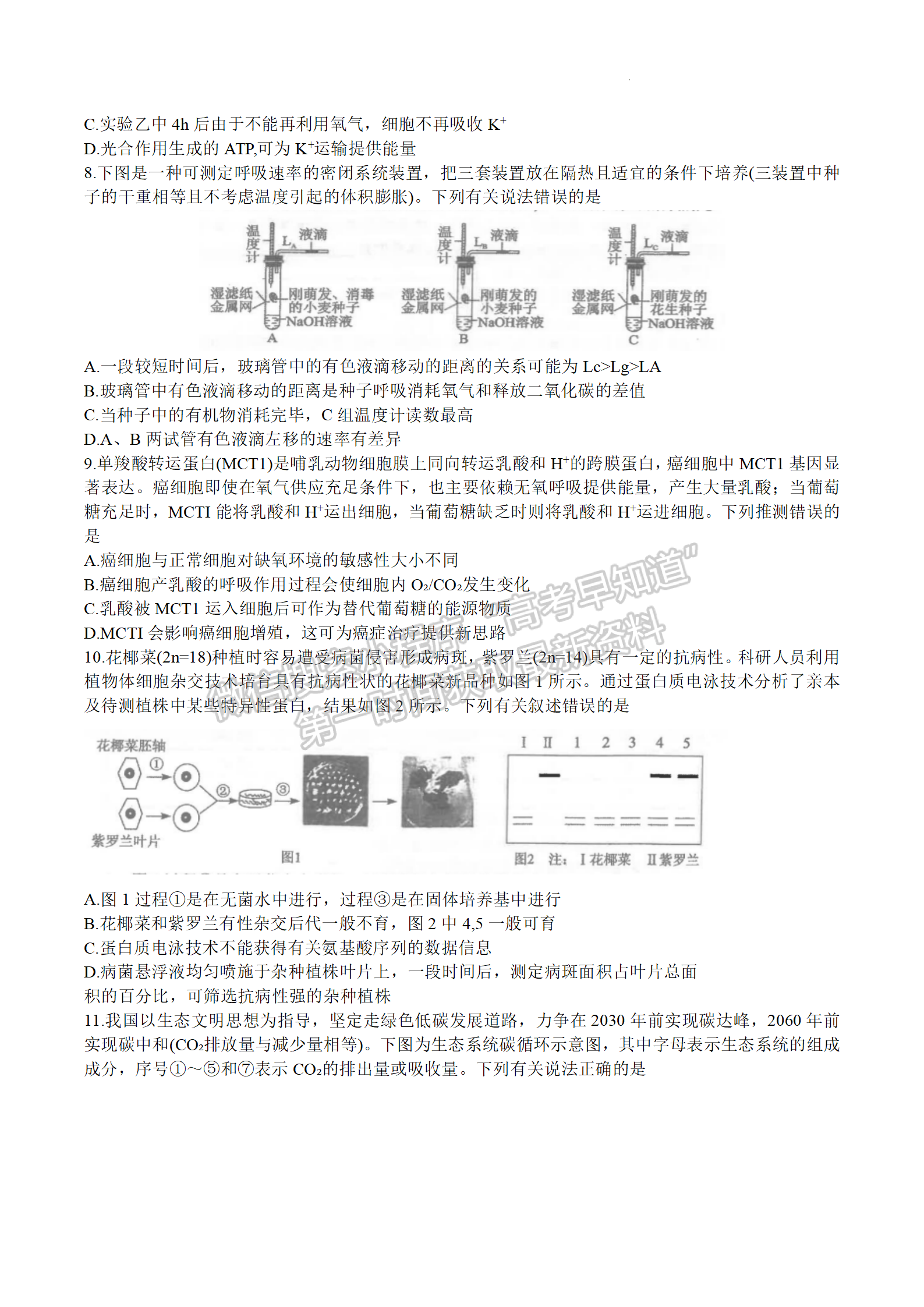 2024届湖北腾云联盟高三12月联考生物试题及答案