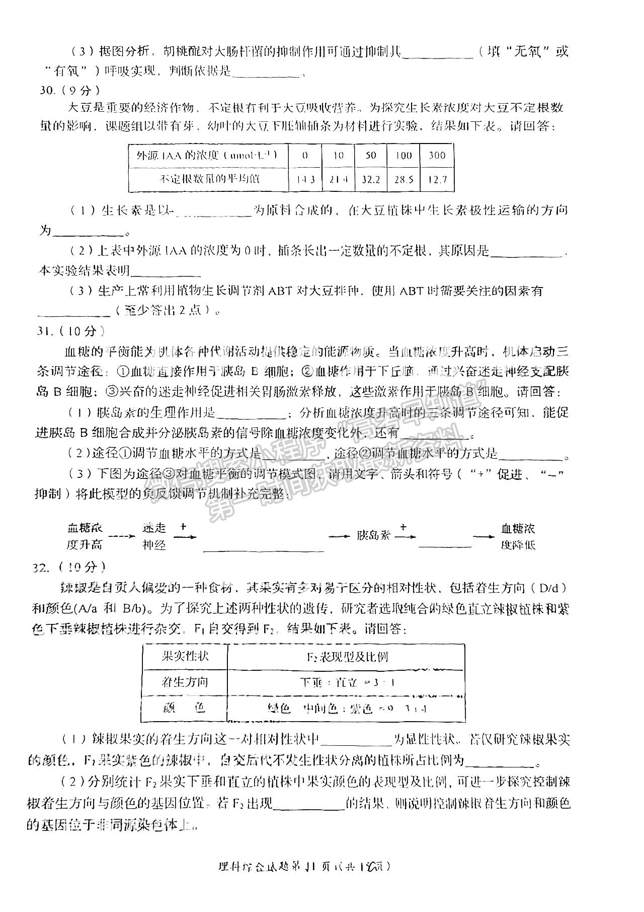 2024四川省自贡市普高2024届第一次诊断性考试理综试题及参考答案