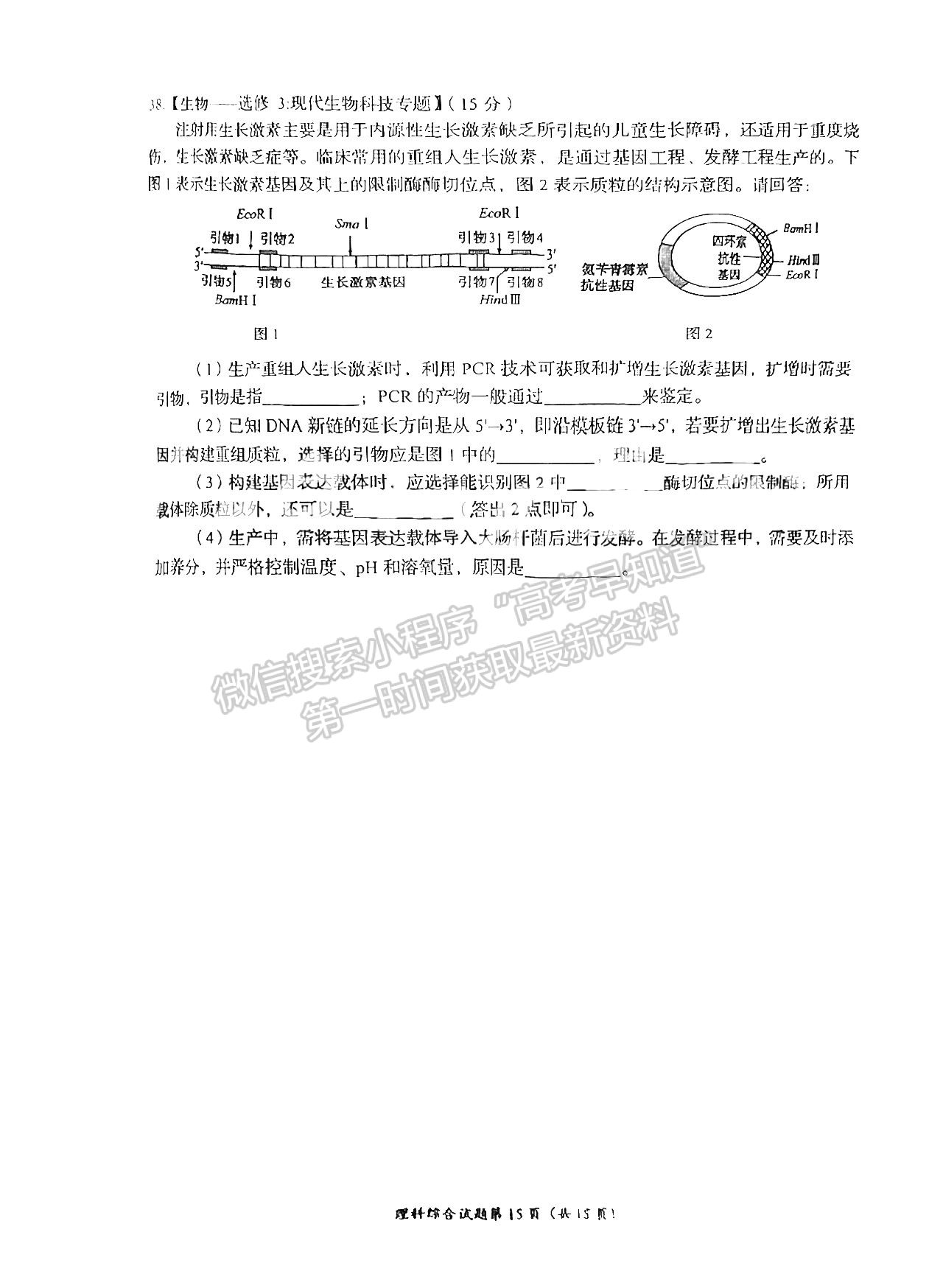 2024四川省自貢市普高2024屆第一次診斷性考試?yán)砭C試題及參考答案