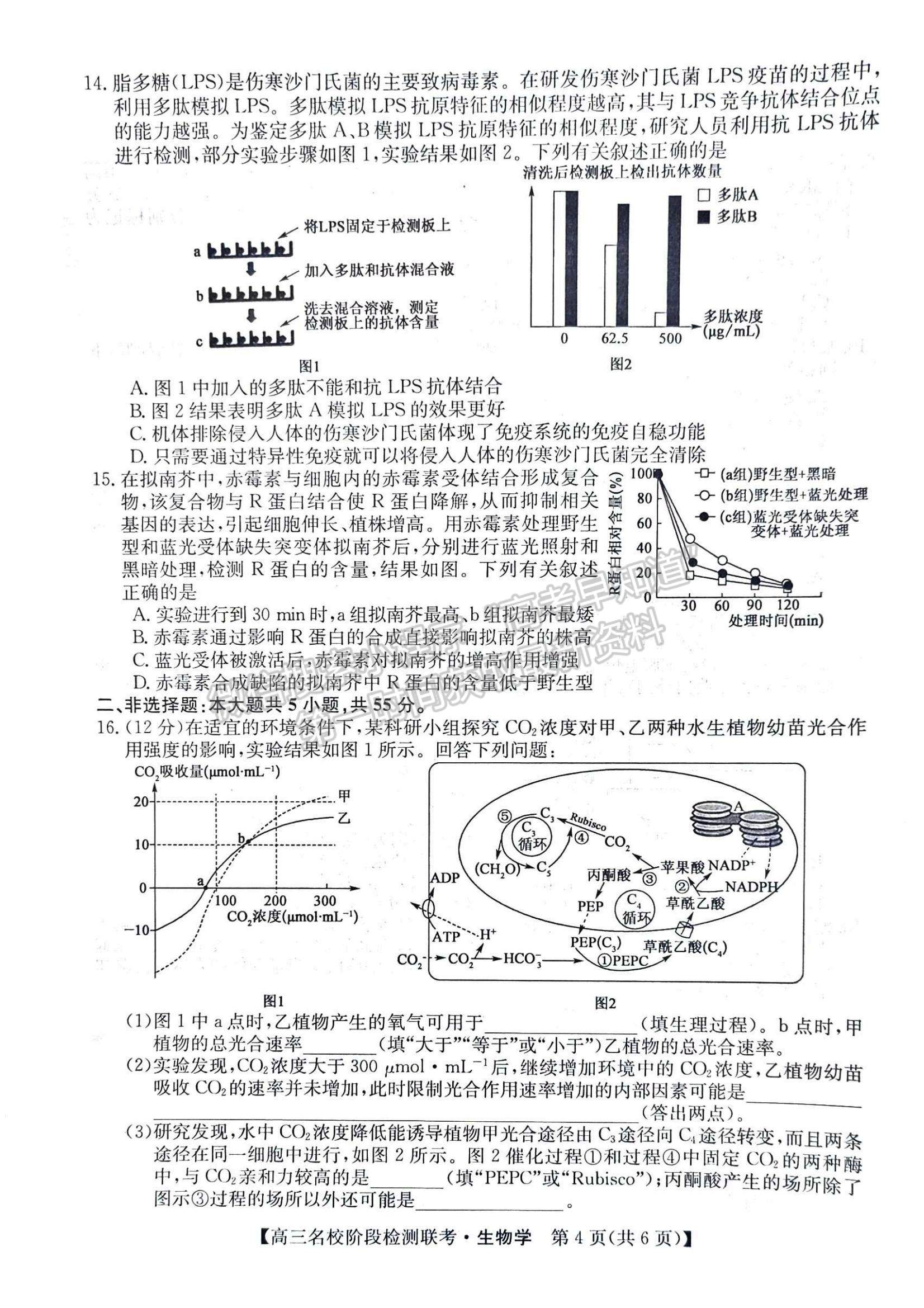 2024届耀正优+12月高三名校阶段检测联考生物试卷及参考答案