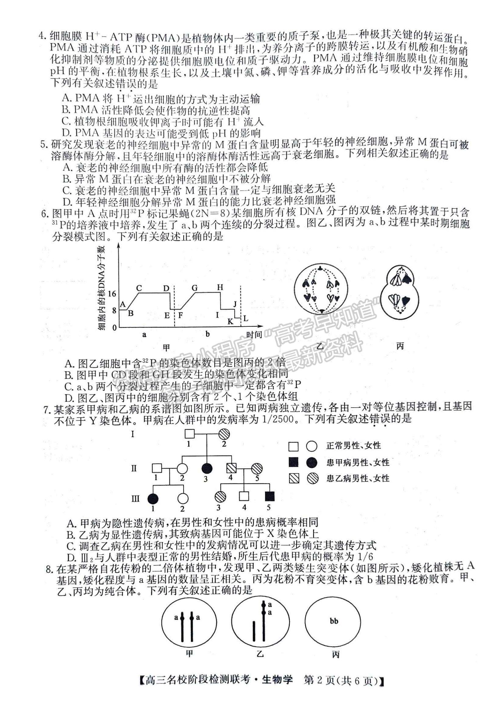 2024届耀正优+12月高三名校阶段检测联考生物试卷及参考答案